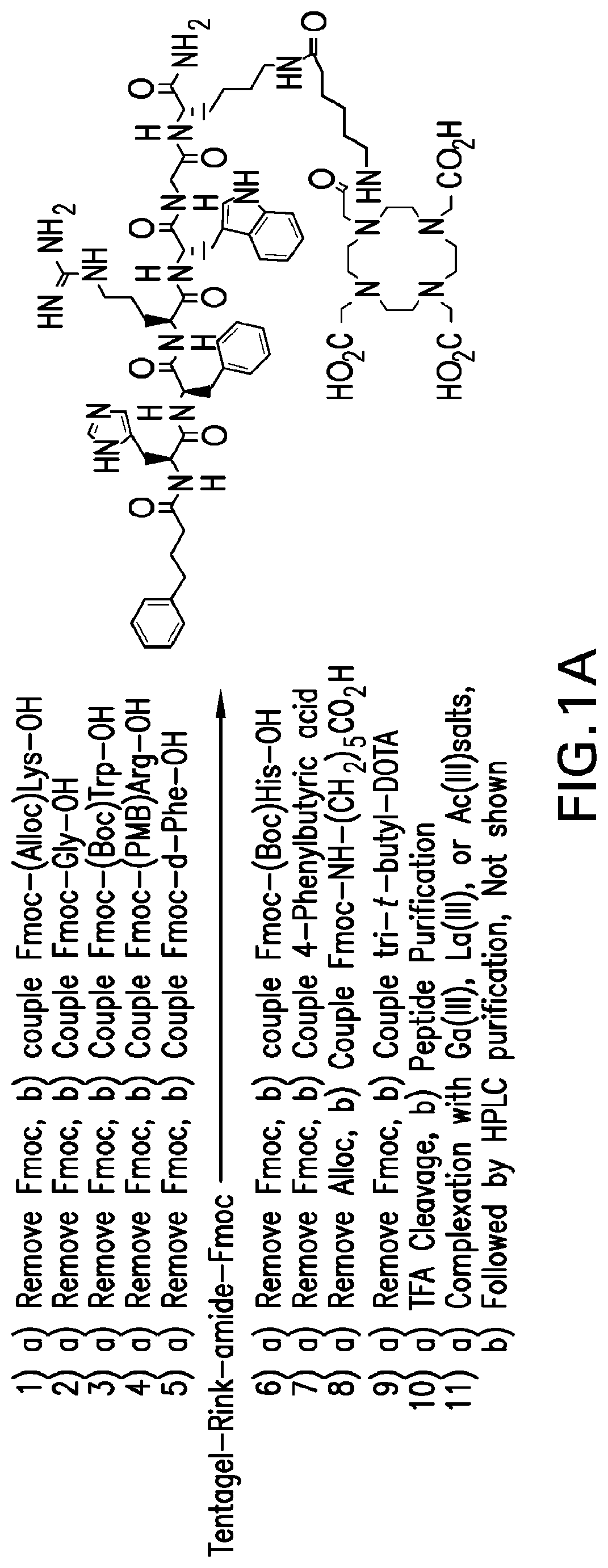 Patent US12508329 Figure 1 – Radiotherapeutic and companion imaging agents to target MC1R