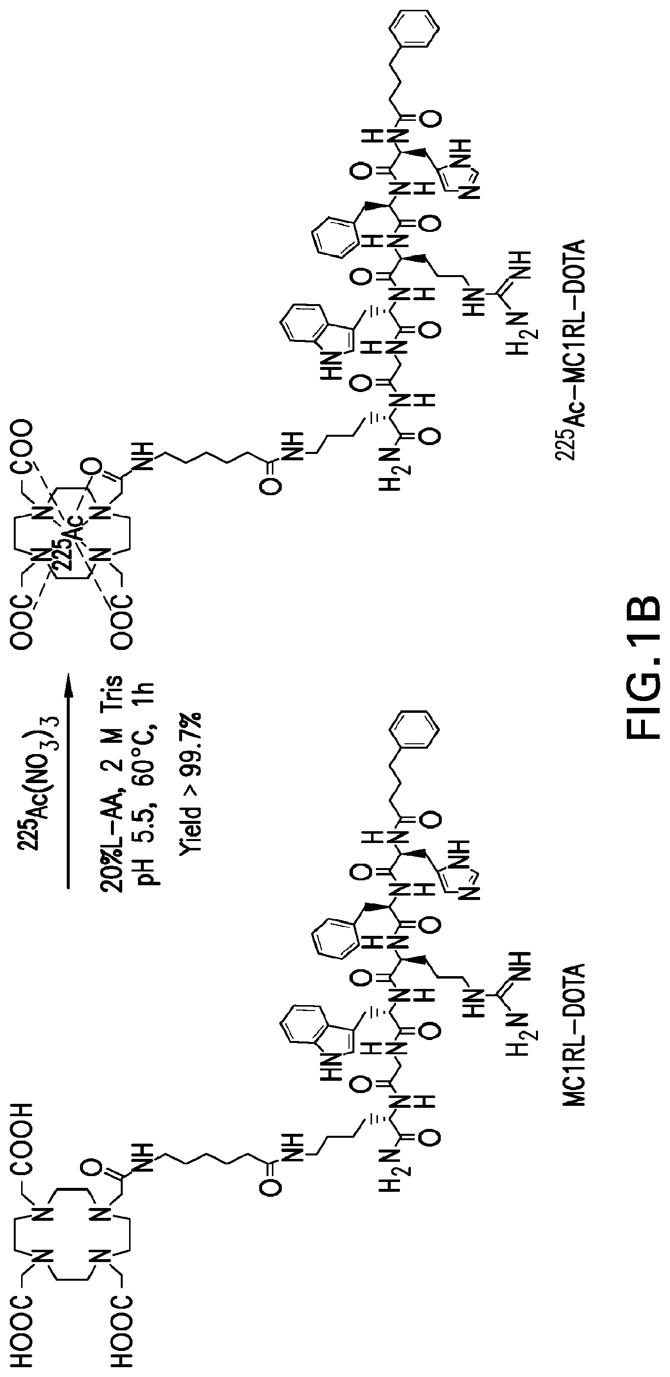 Patent US12508329 Figure 2 – Radiotherapeutic and companion imaging agents to target MC1R