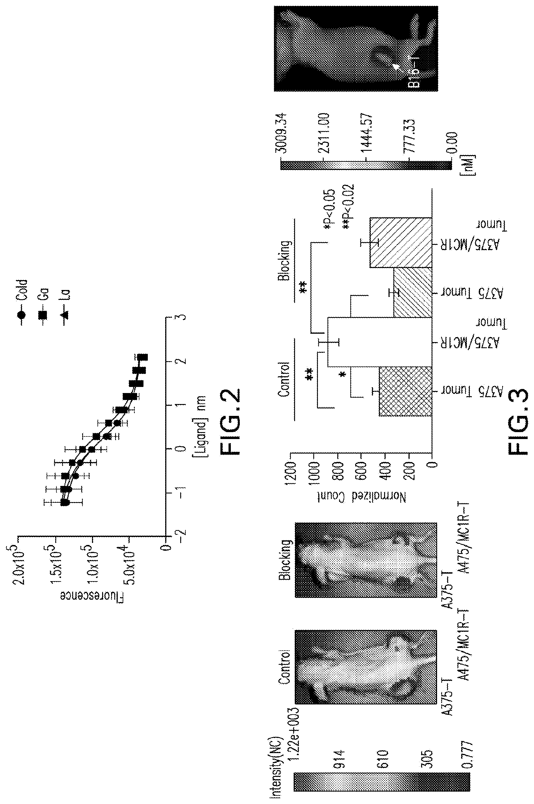 Patent US12508329 Figure 3 – Radiotherapeutic and companion imaging agents to target MC1R