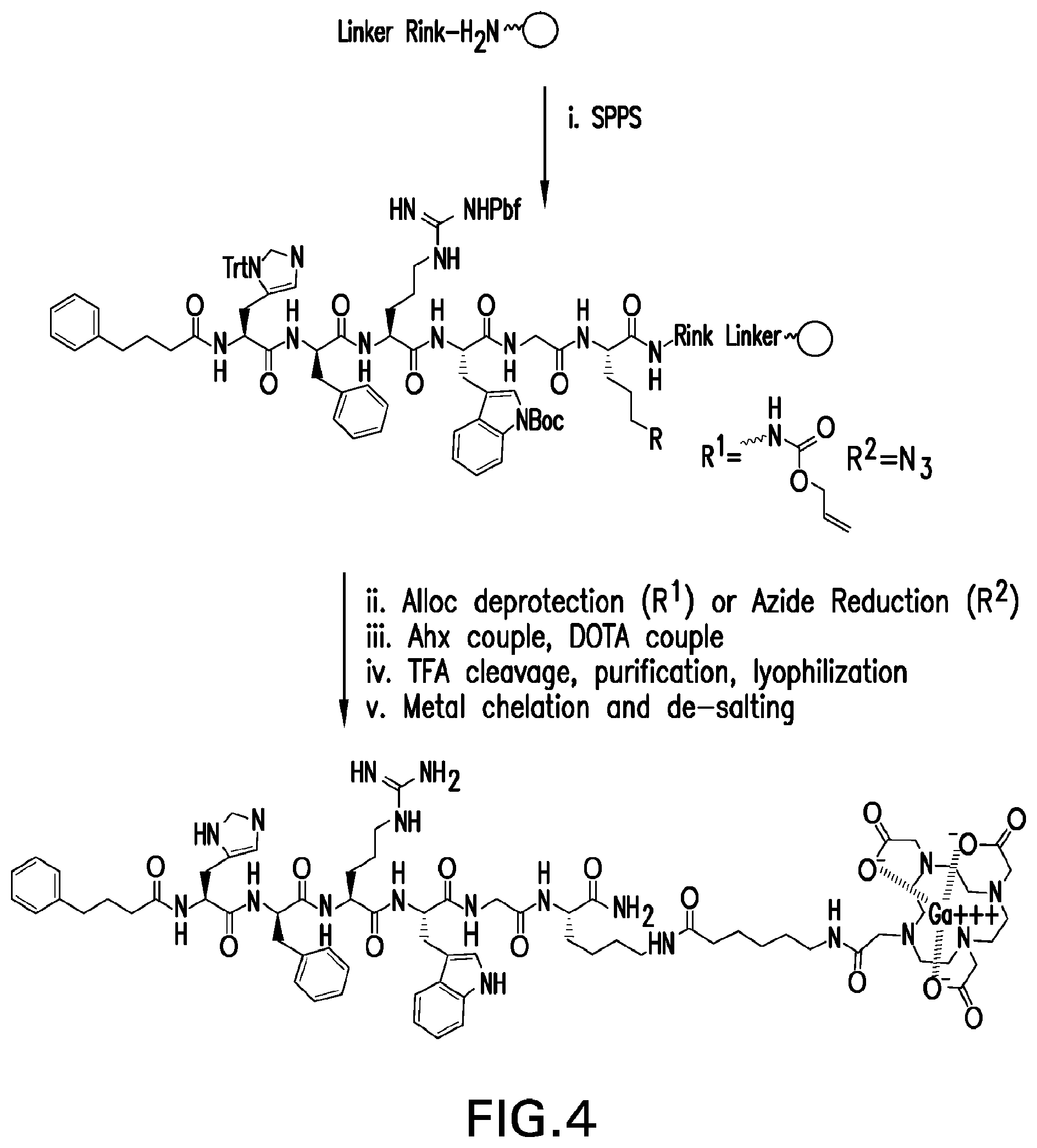 Patent US12508329 Figure 4 – Radiotherapeutic and companion imaging agents to target MC1R