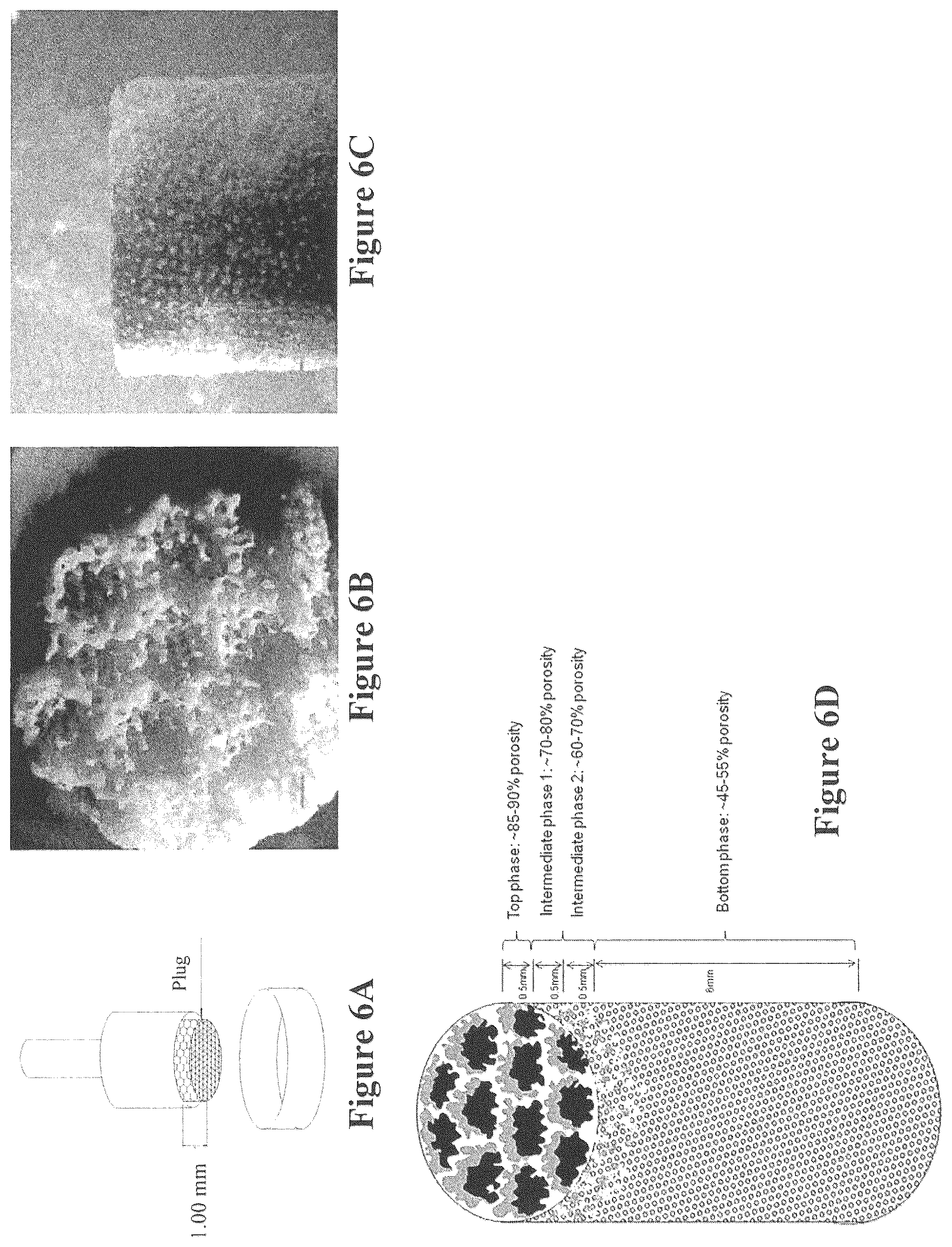 Patent US12508343 Figure 6 – Solid forms for tissue repair