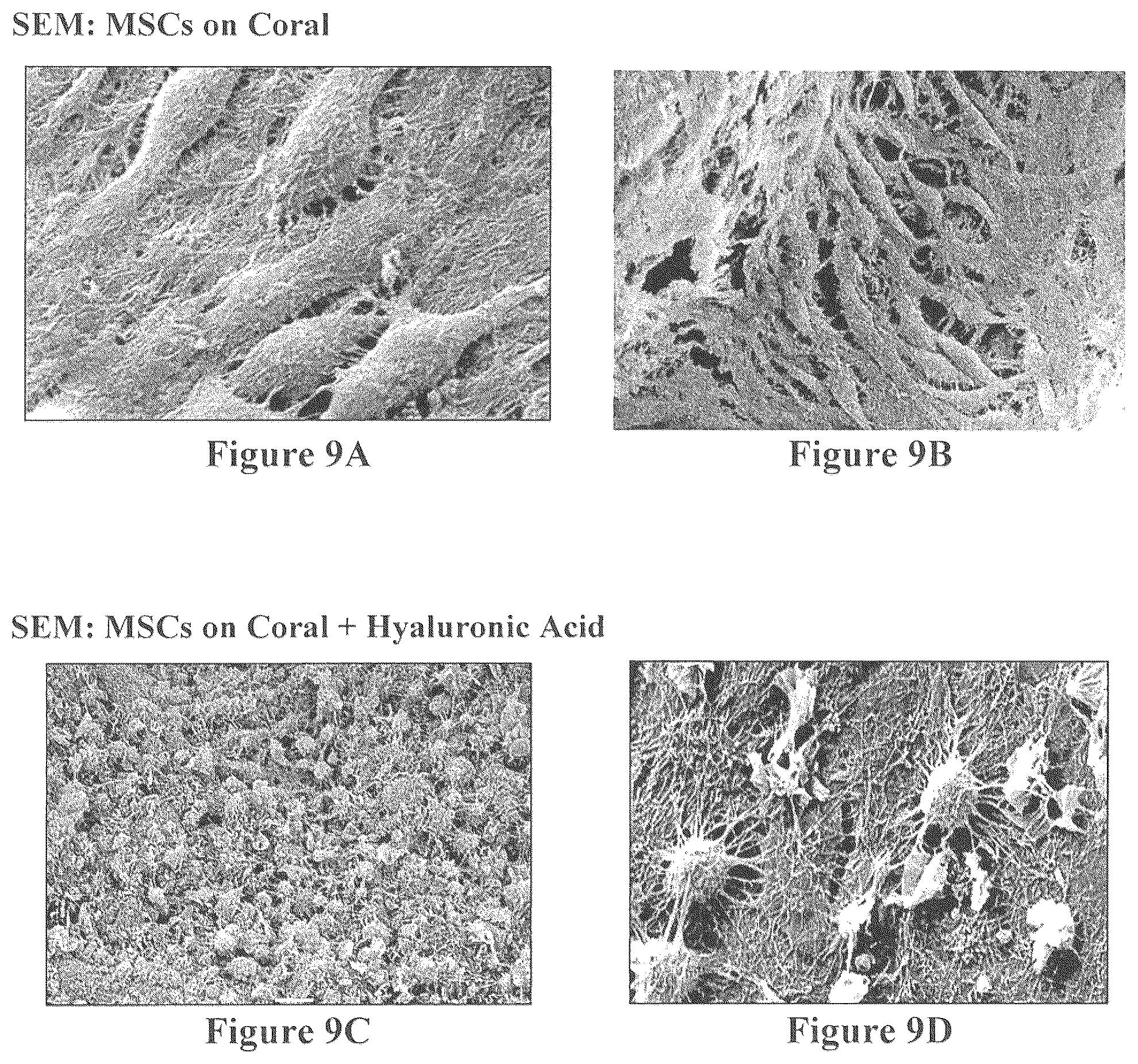 Patent US12508343 Figure 9 – Solid forms for tissue repair