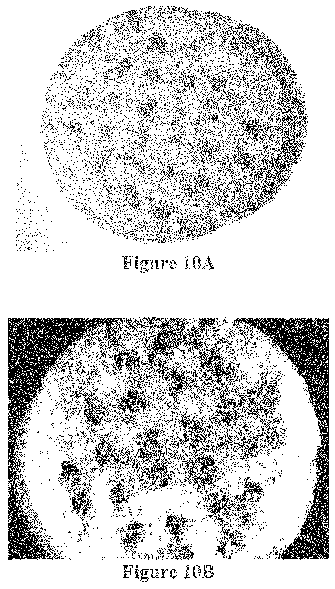 Patent US12508343 Figure 10 – Solid forms for tissue repair