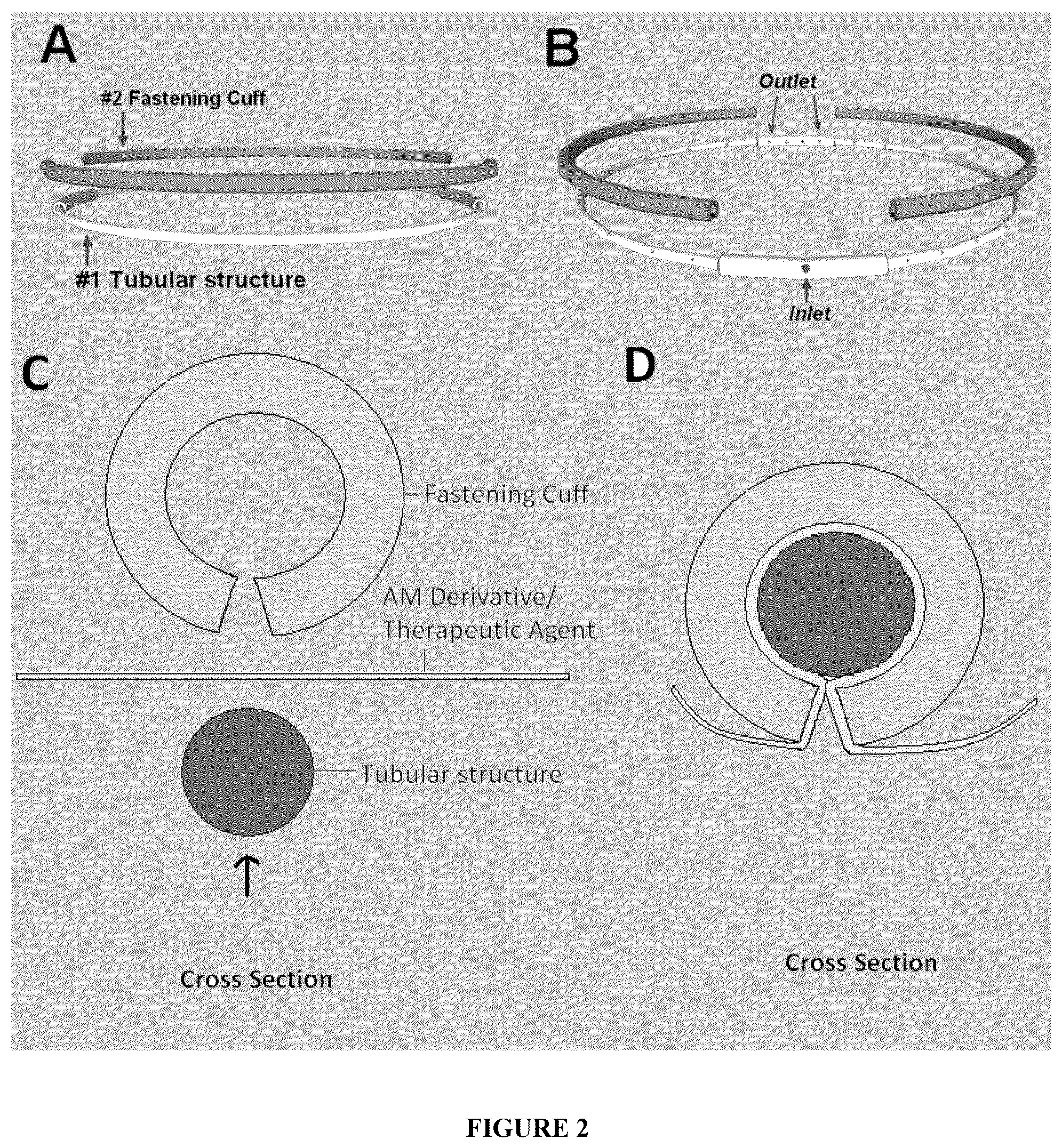 Patent US12508349 Figure 2 – Apparatuses and methods for treating ophthalmic diseases and disorders
