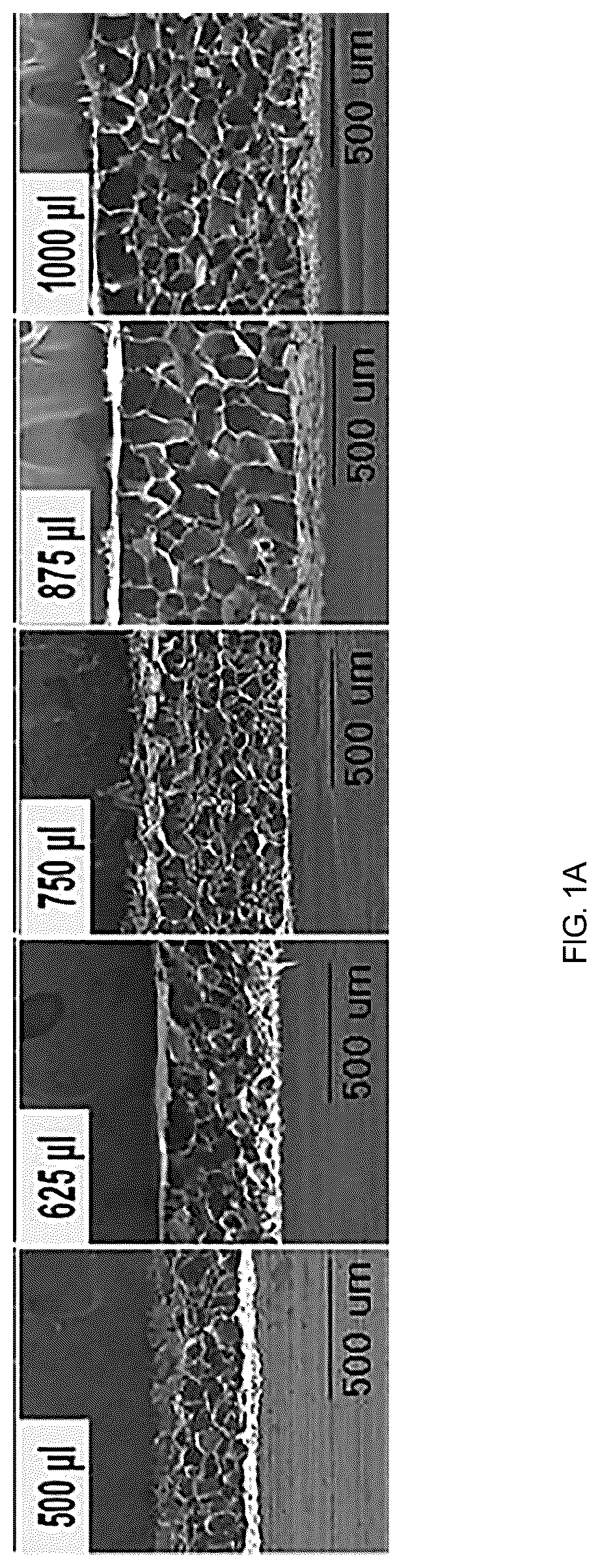Patent US12508408 Figure 1 – Chitosan porous structure-based magnetically actuated microrobot