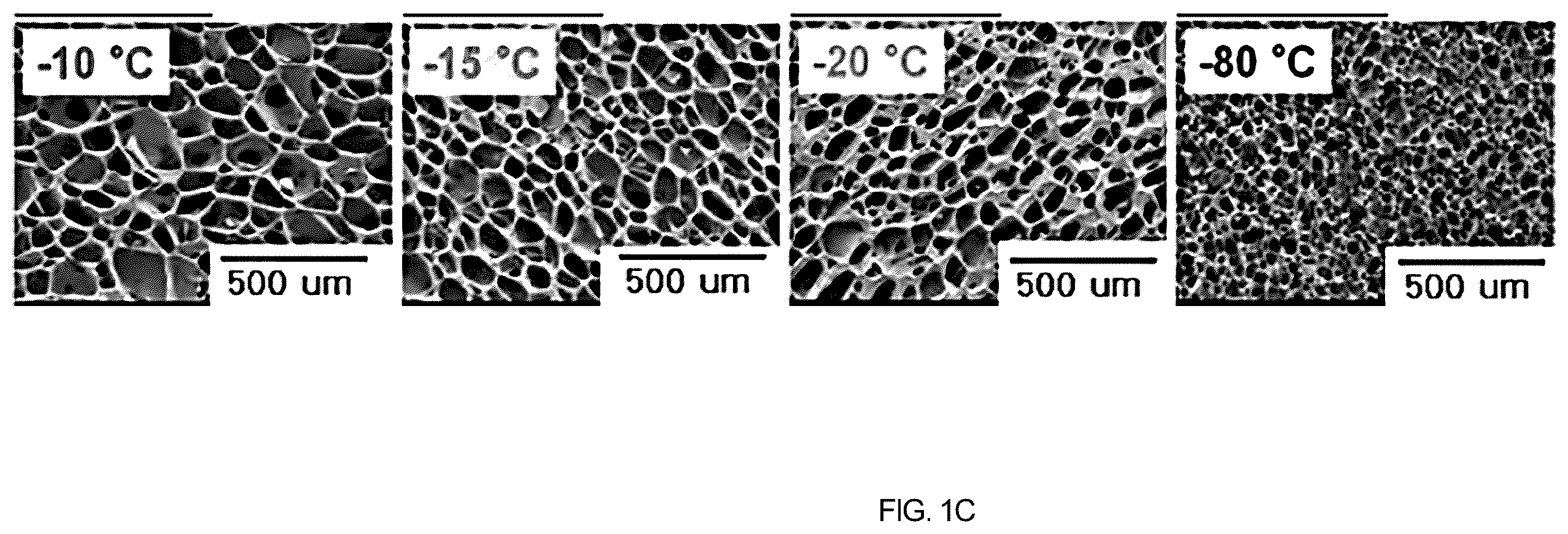 Patent US12508408 Figure 3 – Chitosan porous structure-based magnetically actuated microrobot