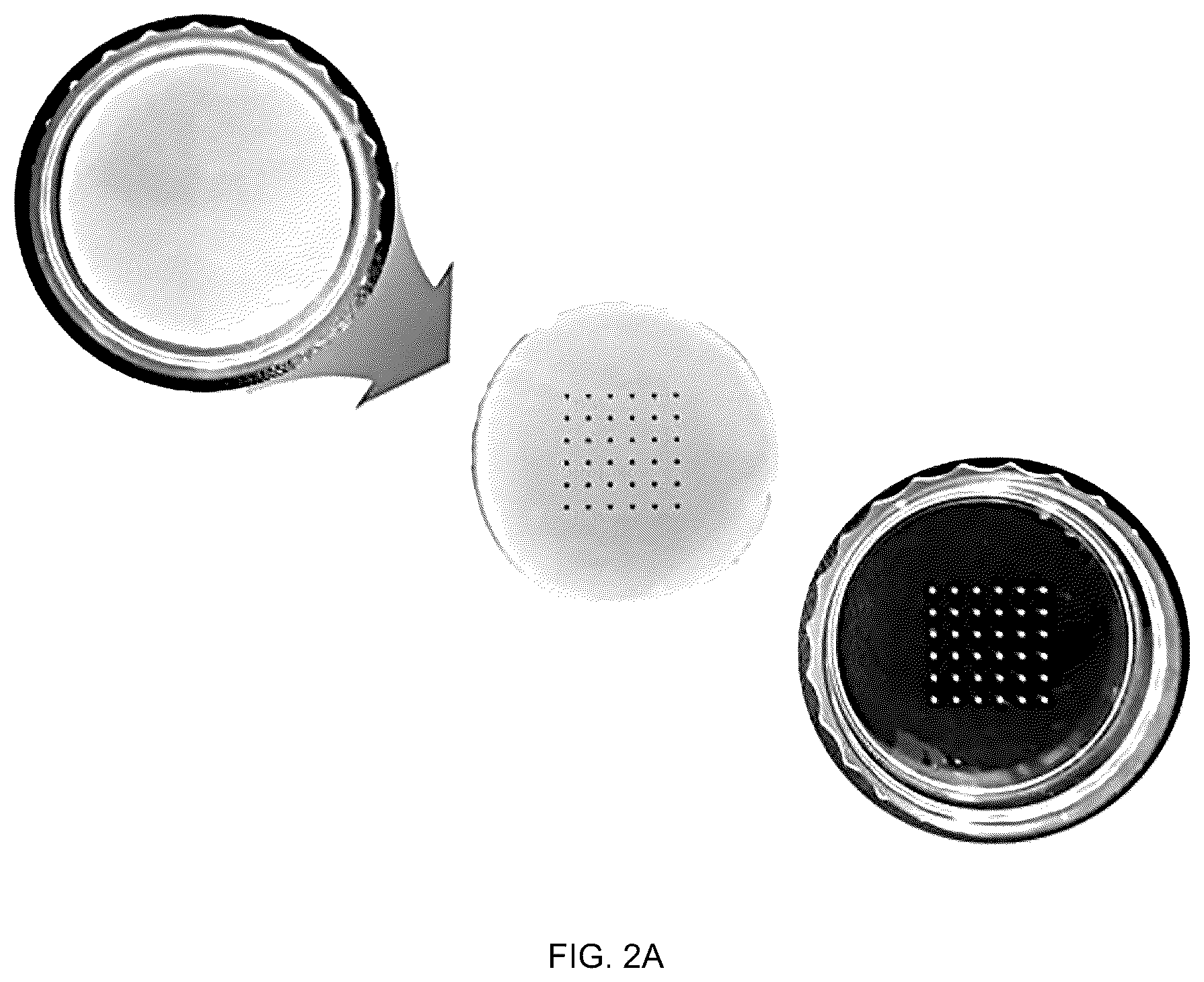 Patent US12508408 Figure 6 – Chitosan porous structure-based magnetically actuated microrobot