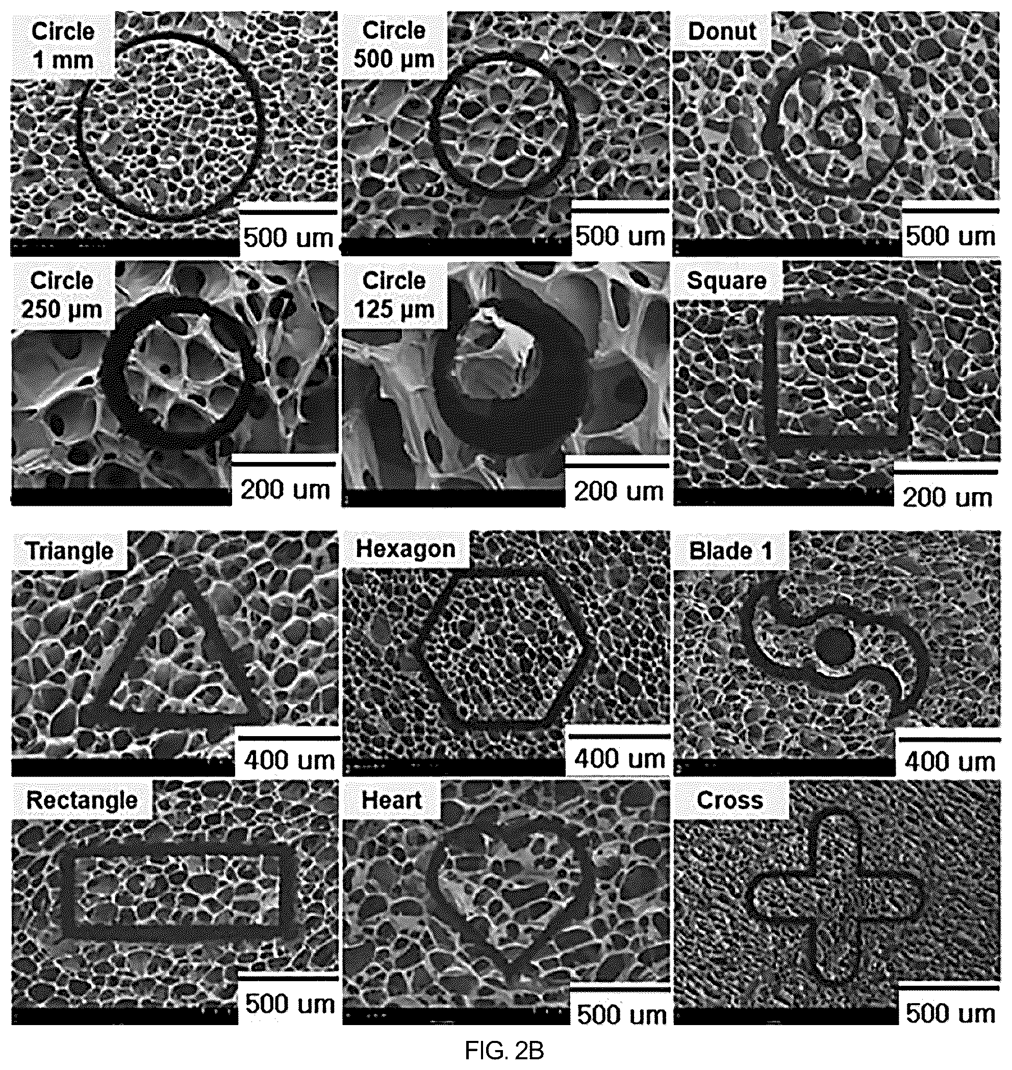 Patent US12508408 Figure 7 – Chitosan porous structure-based magnetically actuated microrobot