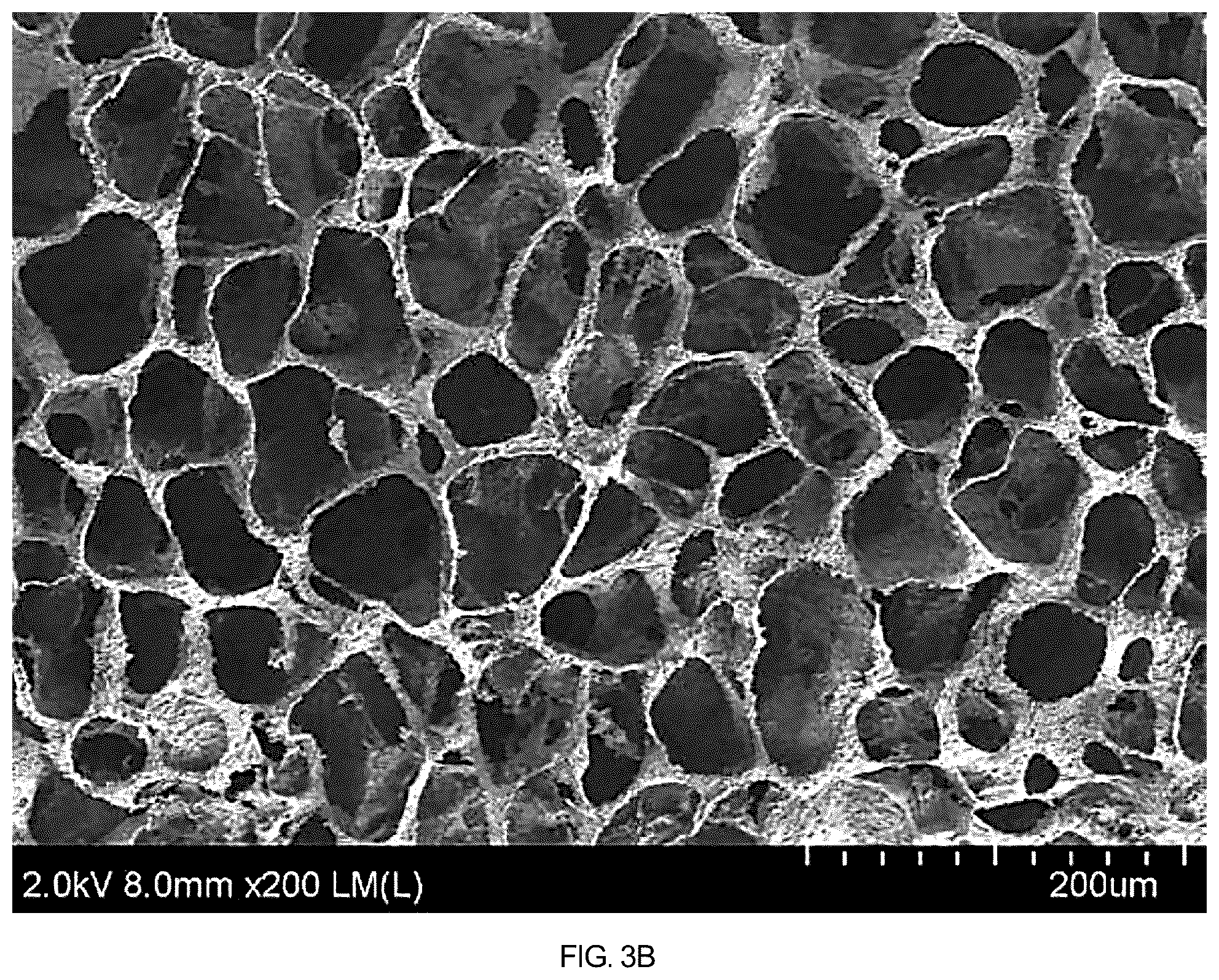 Patent US12508408 Figure 9 – Chitosan porous structure-based magnetically actuated microrobot