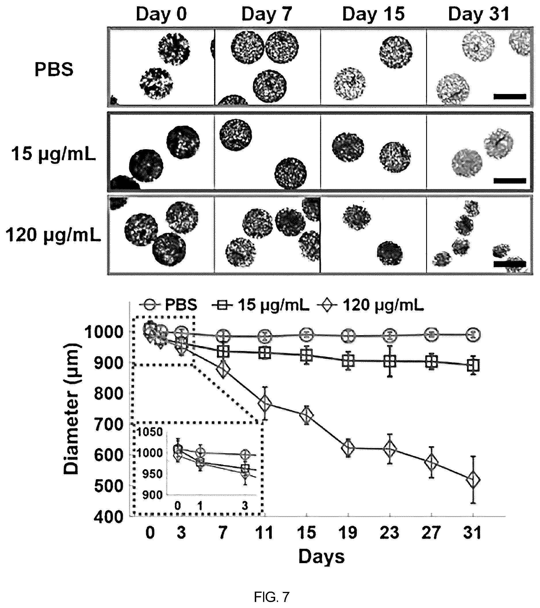 Patent US12508408 Figure 18 – Chitosan porous structure-based magnetically actuated microrobot