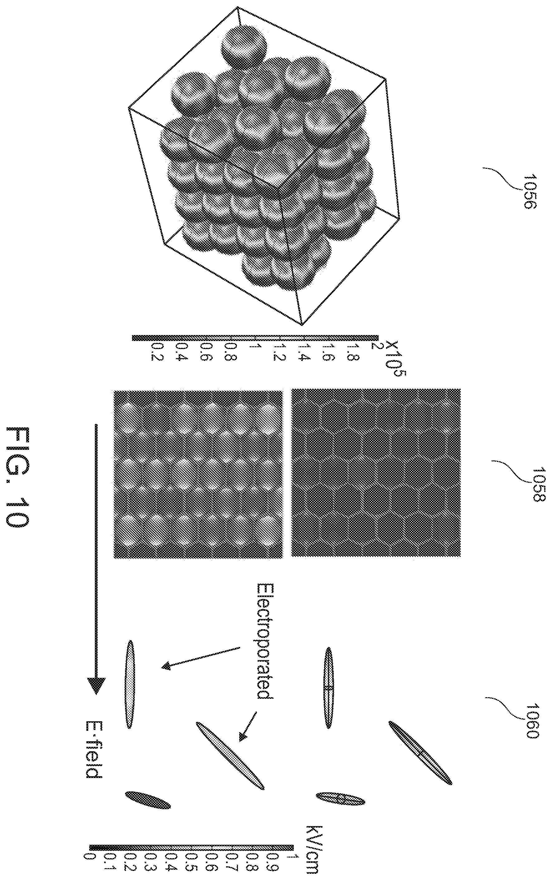 Patent US12508423 Figure 10 – Device for tissue electrotransfer using a microelectrode