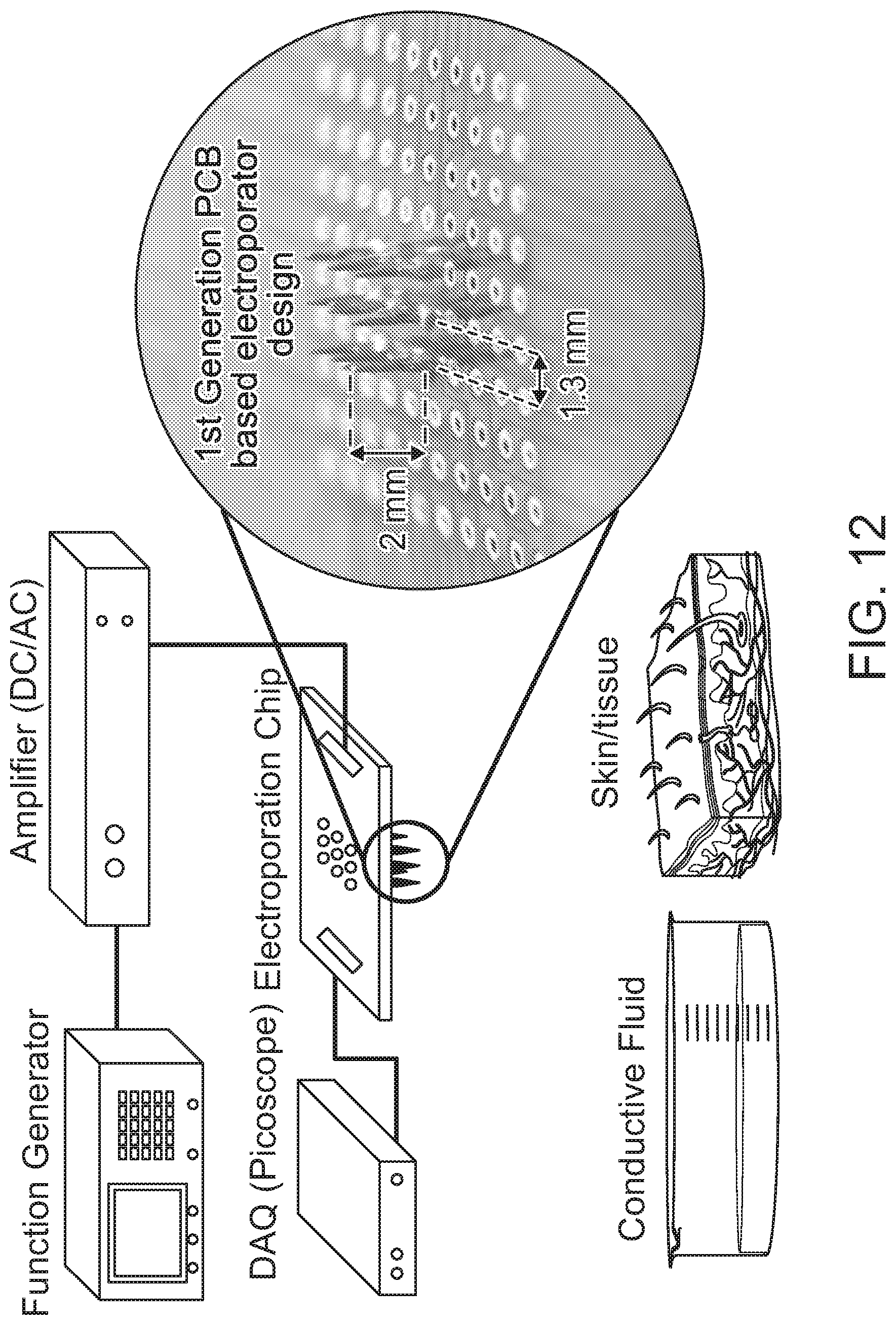 Patent US12508423 Figure 12 – Device for tissue electrotransfer using a microelectrode