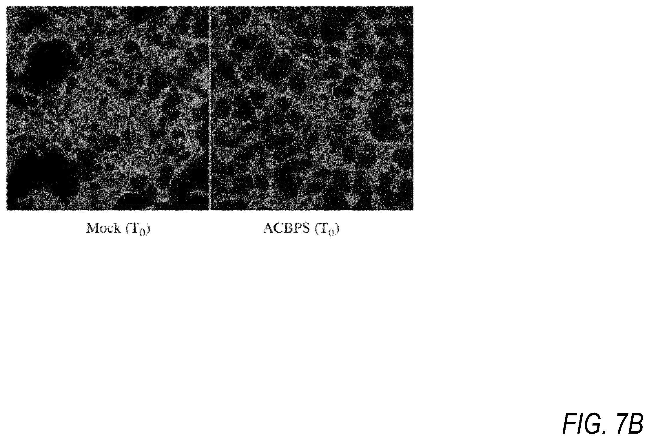 Patent US12508431 Figure 8 – Method and apparatus for electrical current therapy of biological tissue and insulin release therefrom
