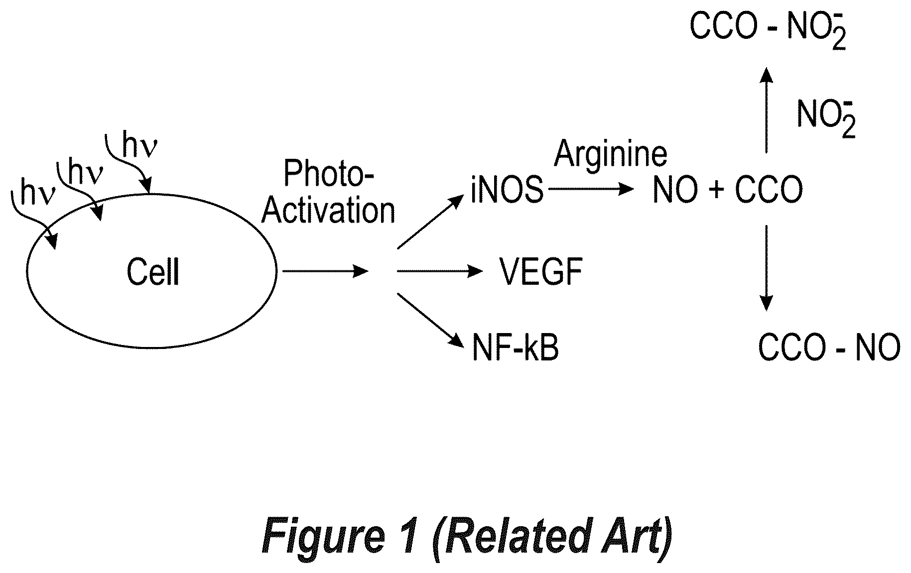 Patent US12508439 Figure 1 – Phototherapeutic light for treatment of pathogens