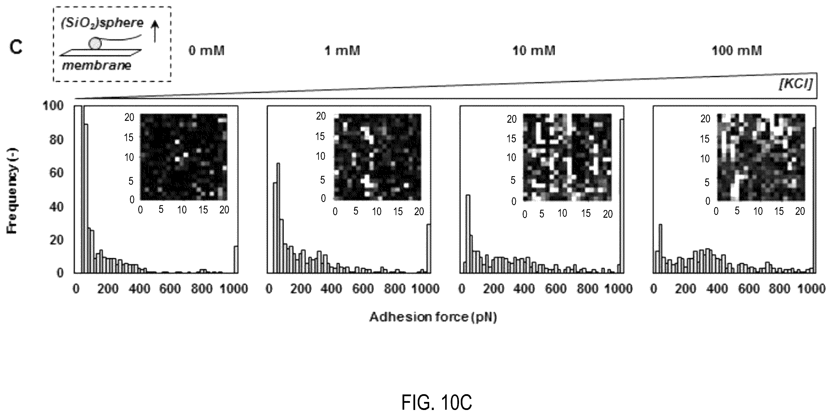 Patent US12508551 Figure 10 – Assay for filtration of suspended particles in microporous membranes