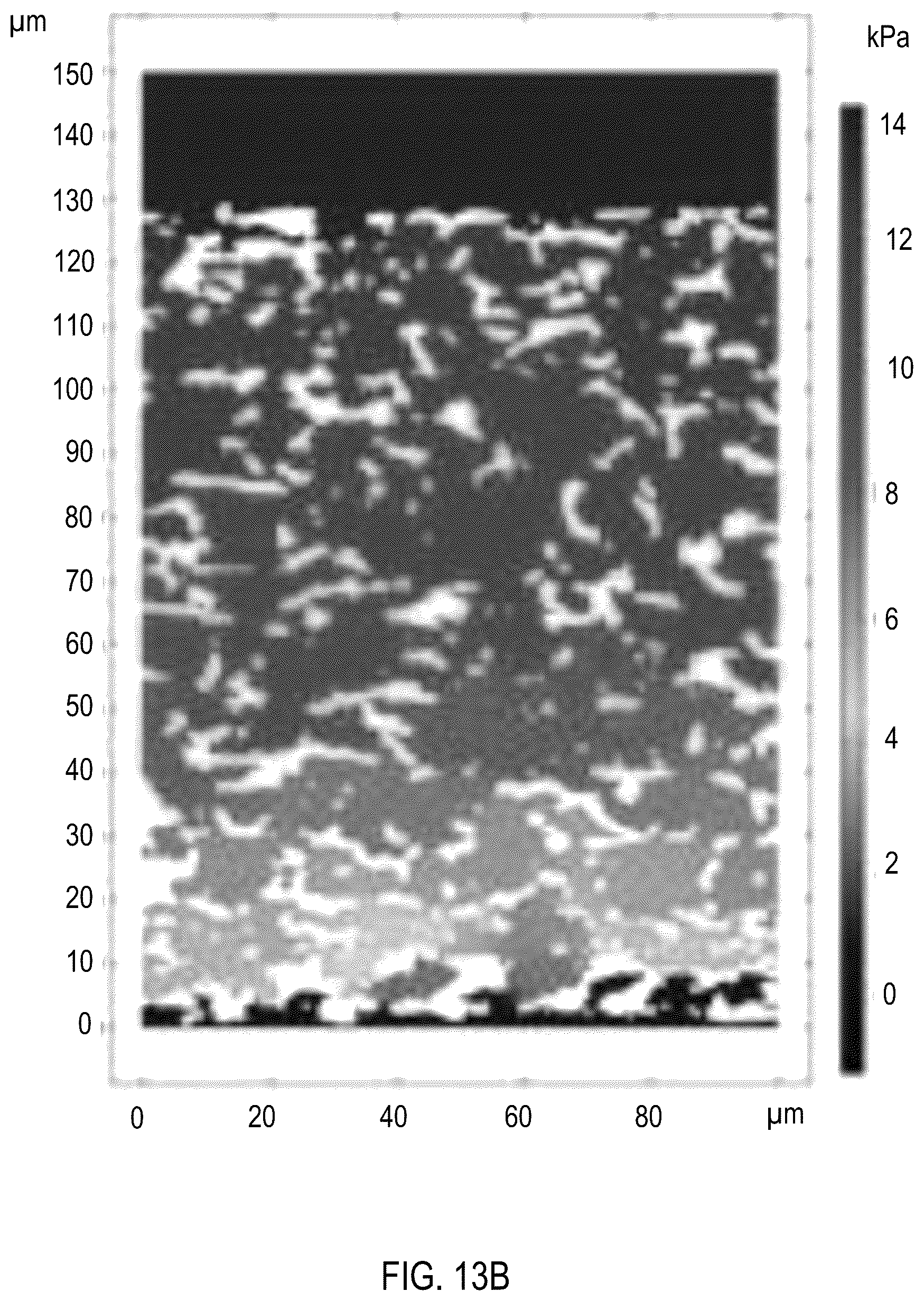 Patent US12508551 Figure 14 – Assay for filtration of suspended particles in microporous membranes