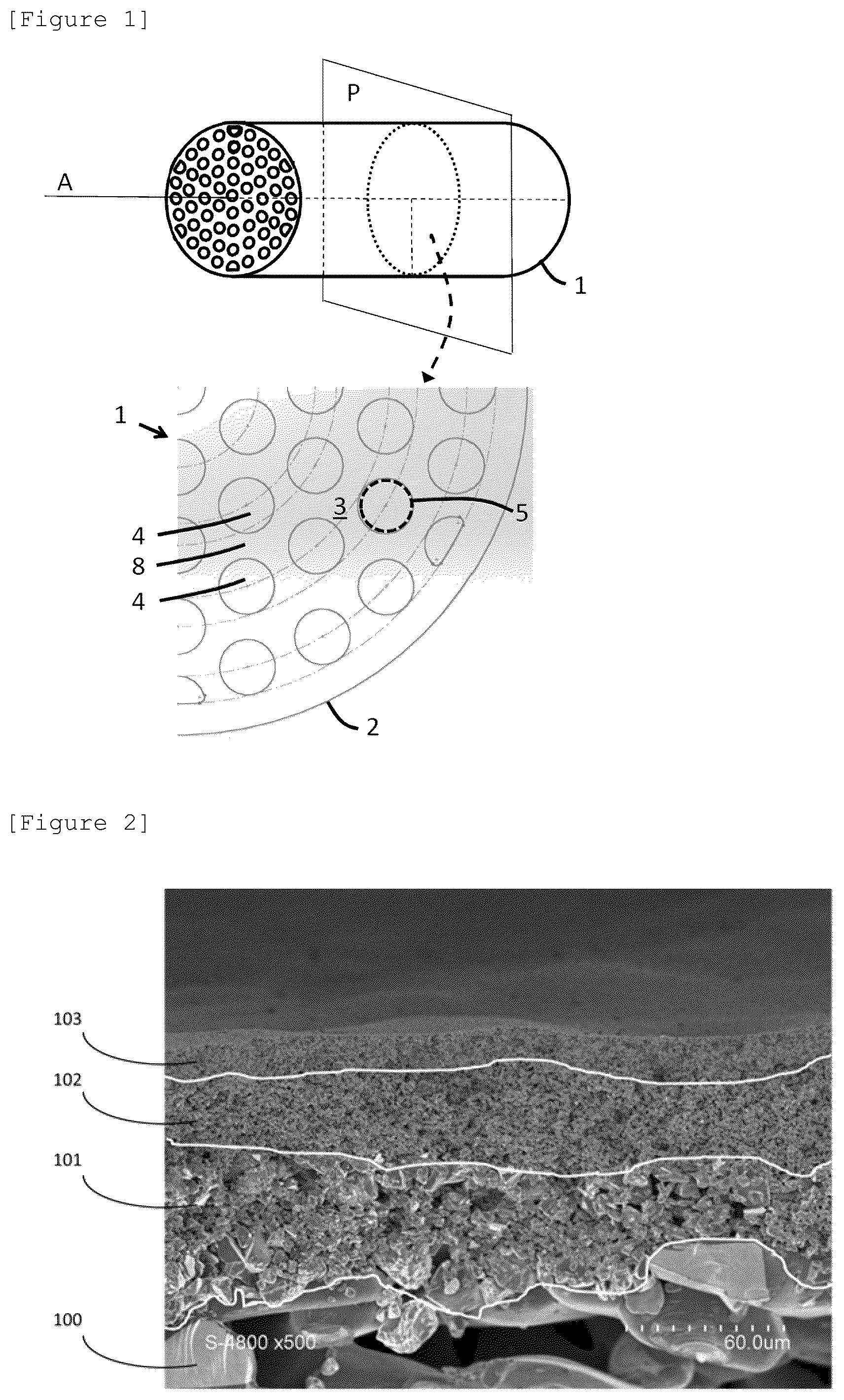 Patent US12508552 Figure 1 – Filter comprising a silicone carbide separator layer