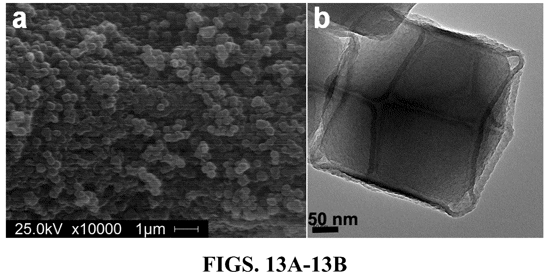 Patent US12508580 Figure 11 – Atomically dispersed metal catalysts and applications thereof