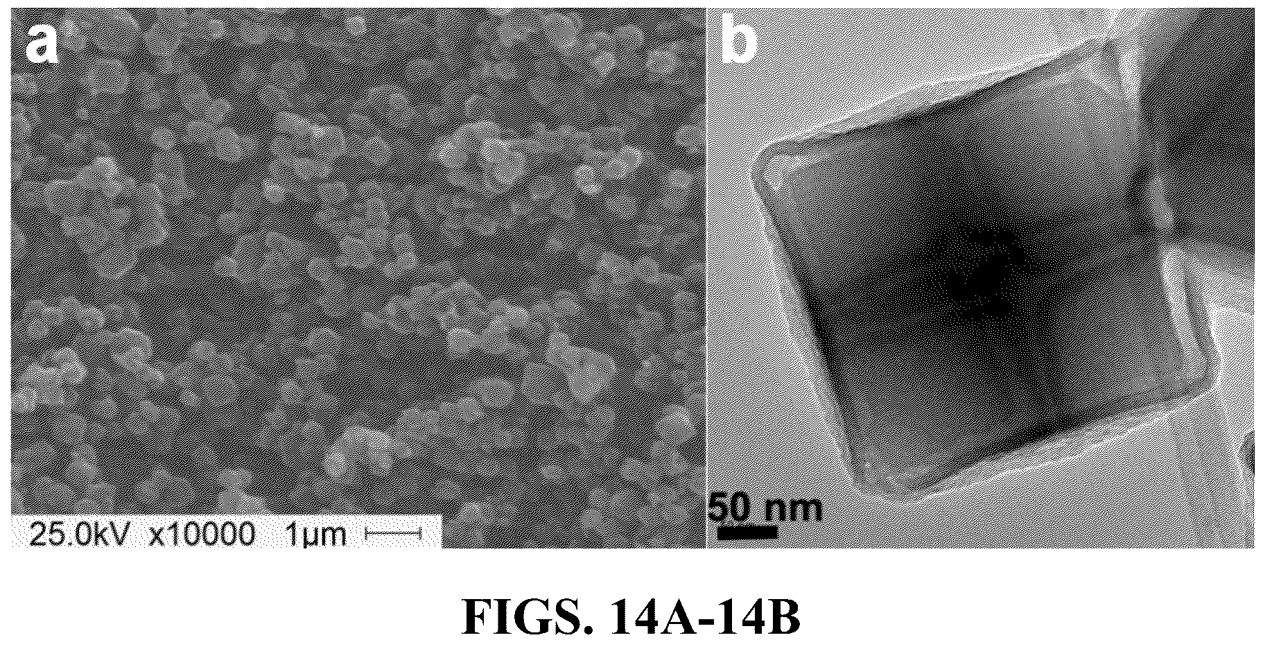 Patent US12508580 Figure 13 – Atomically dispersed metal catalysts and applications thereof