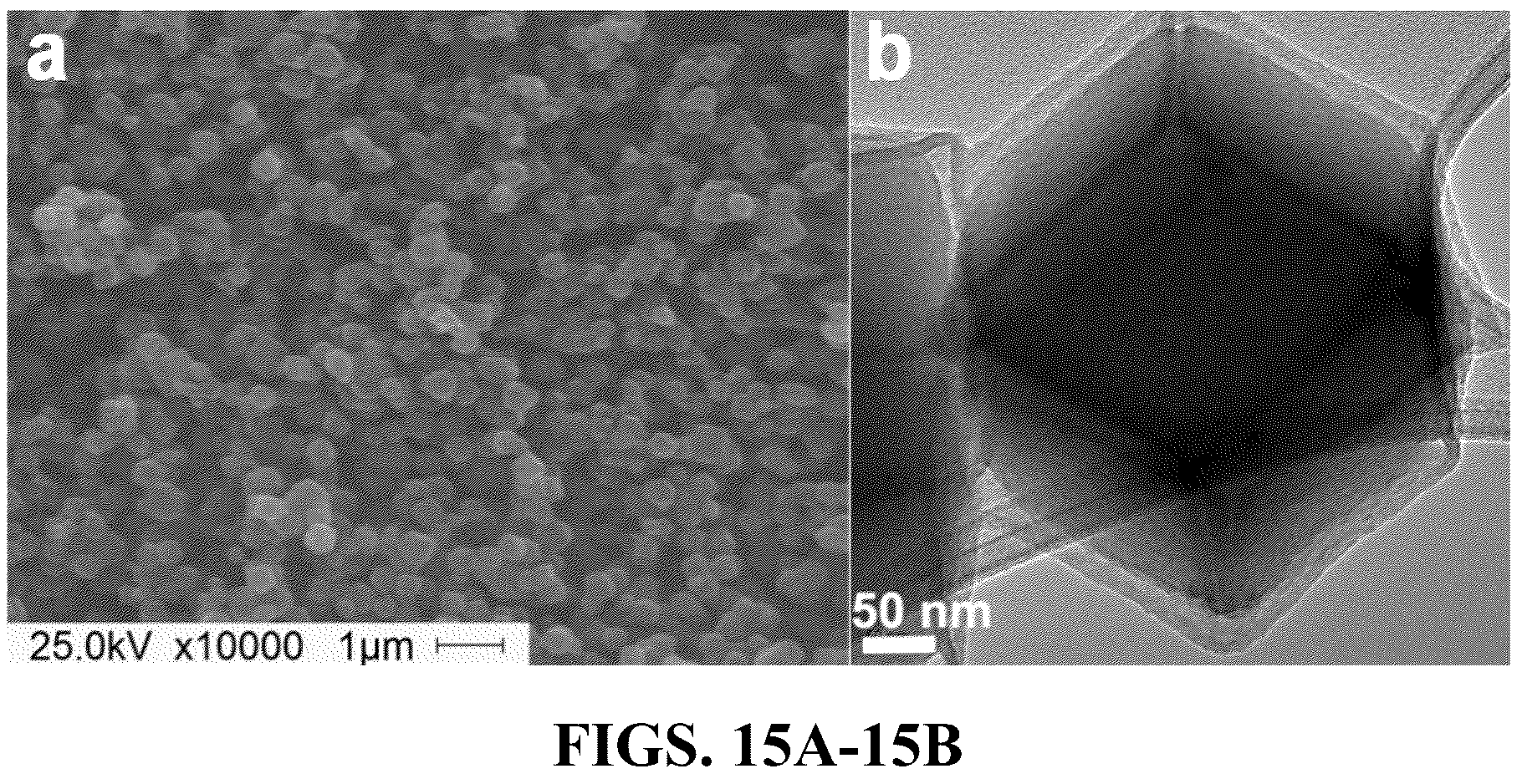 Patent US12508580 Figure 15 – Atomically dispersed metal catalysts and applications thereof