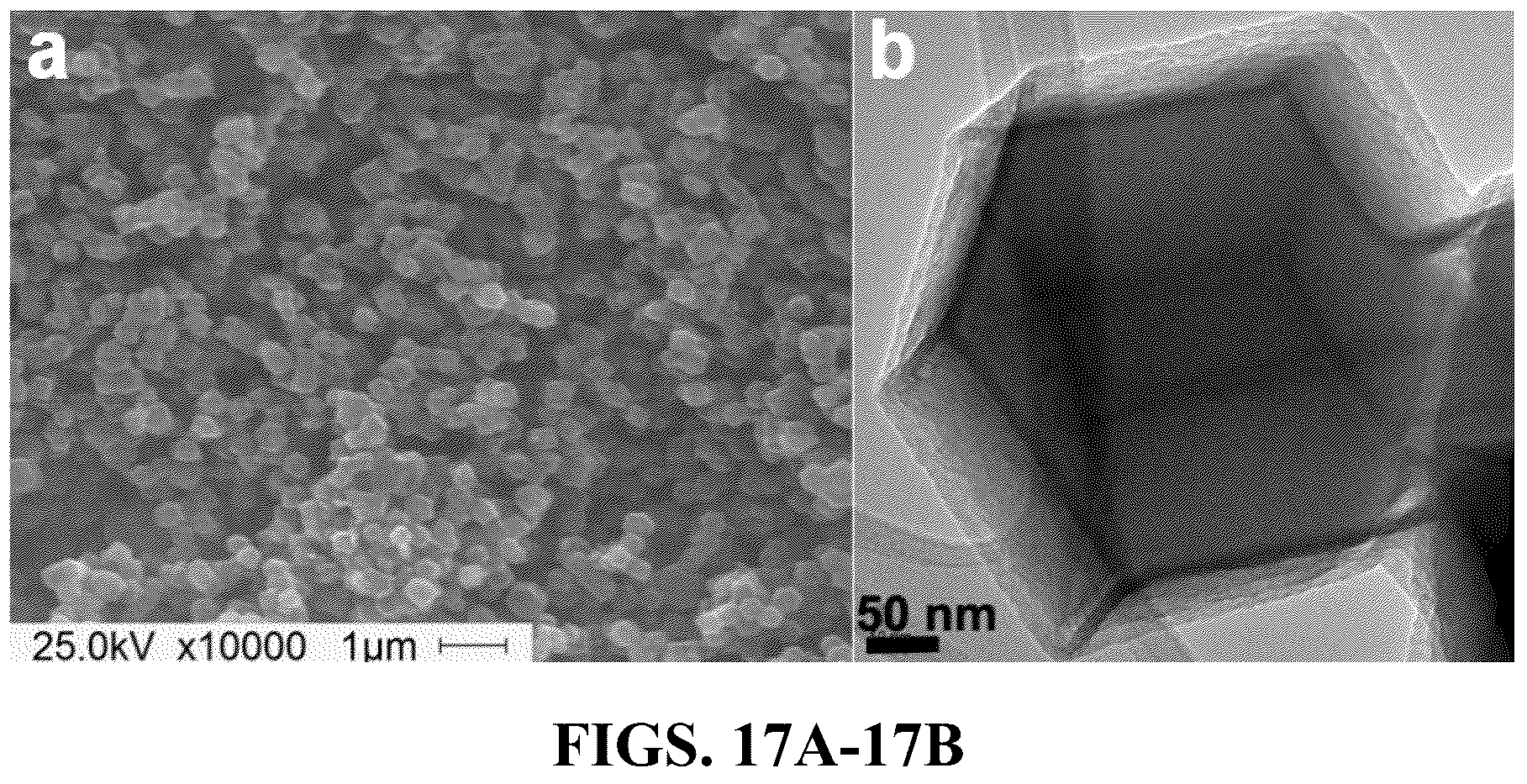 Patent US12508580 Figure 19 – Atomically dispersed metal catalysts and applications thereof