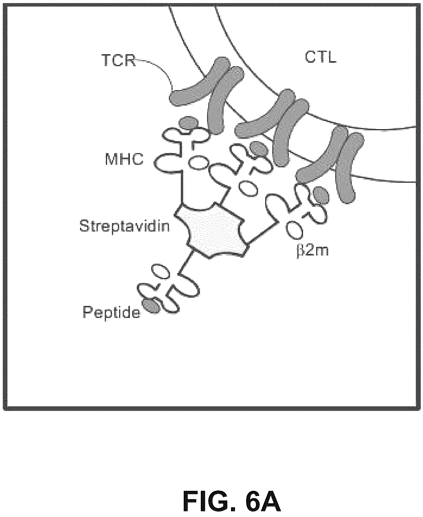 Patent US12508590 Figure 6 – Fluid delivery methods
