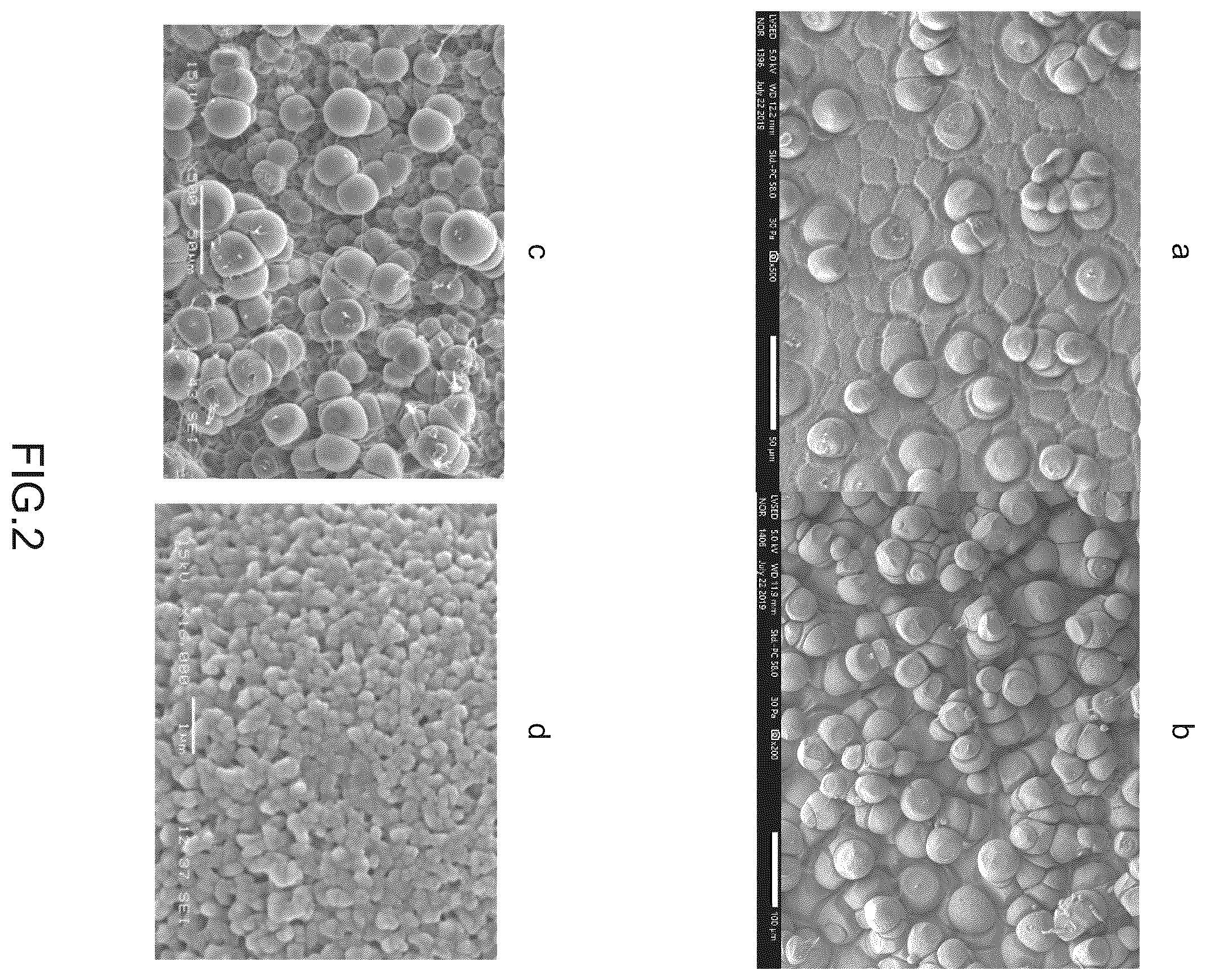 Patent US12508625 Figure 2 – Method of manufacturing processed body provided with water-repellent surface, and processed body provided with water-repellent surface