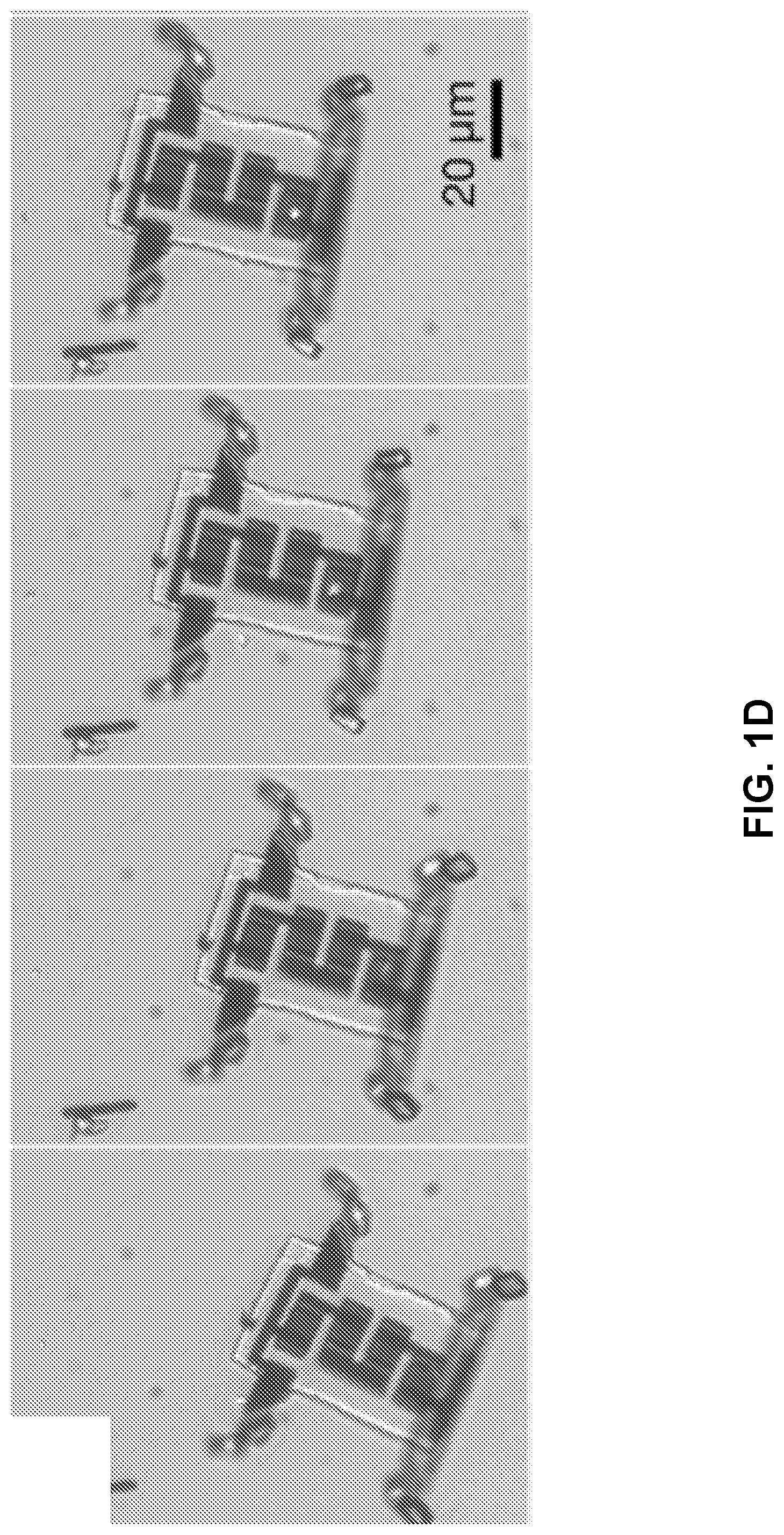 Patent US12508702 Figure 4 – Compact actuators, electrically programmable microscale surface oxide memory actuators and related robotic devices