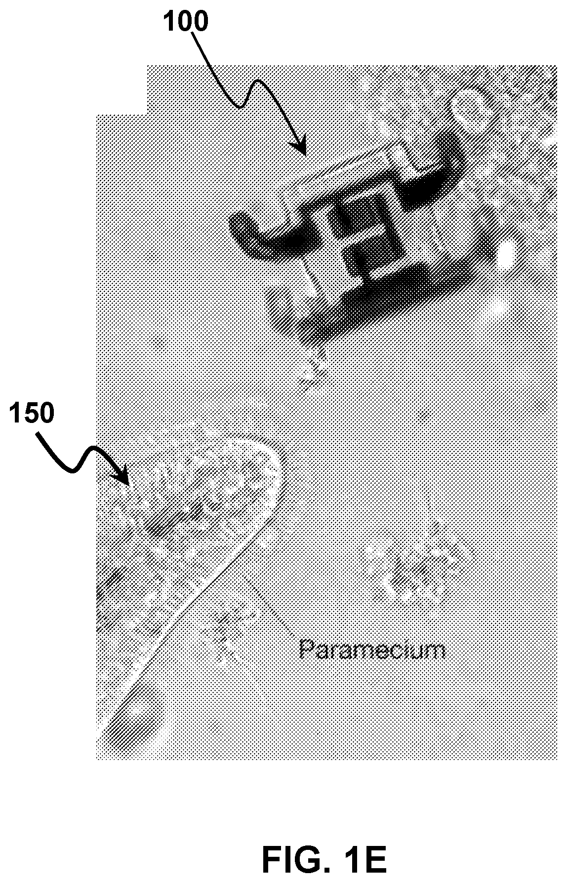 Patent US12508702 Figure 5 – Compact actuators, electrically programmable microscale surface oxide memory actuators and related robotic devices