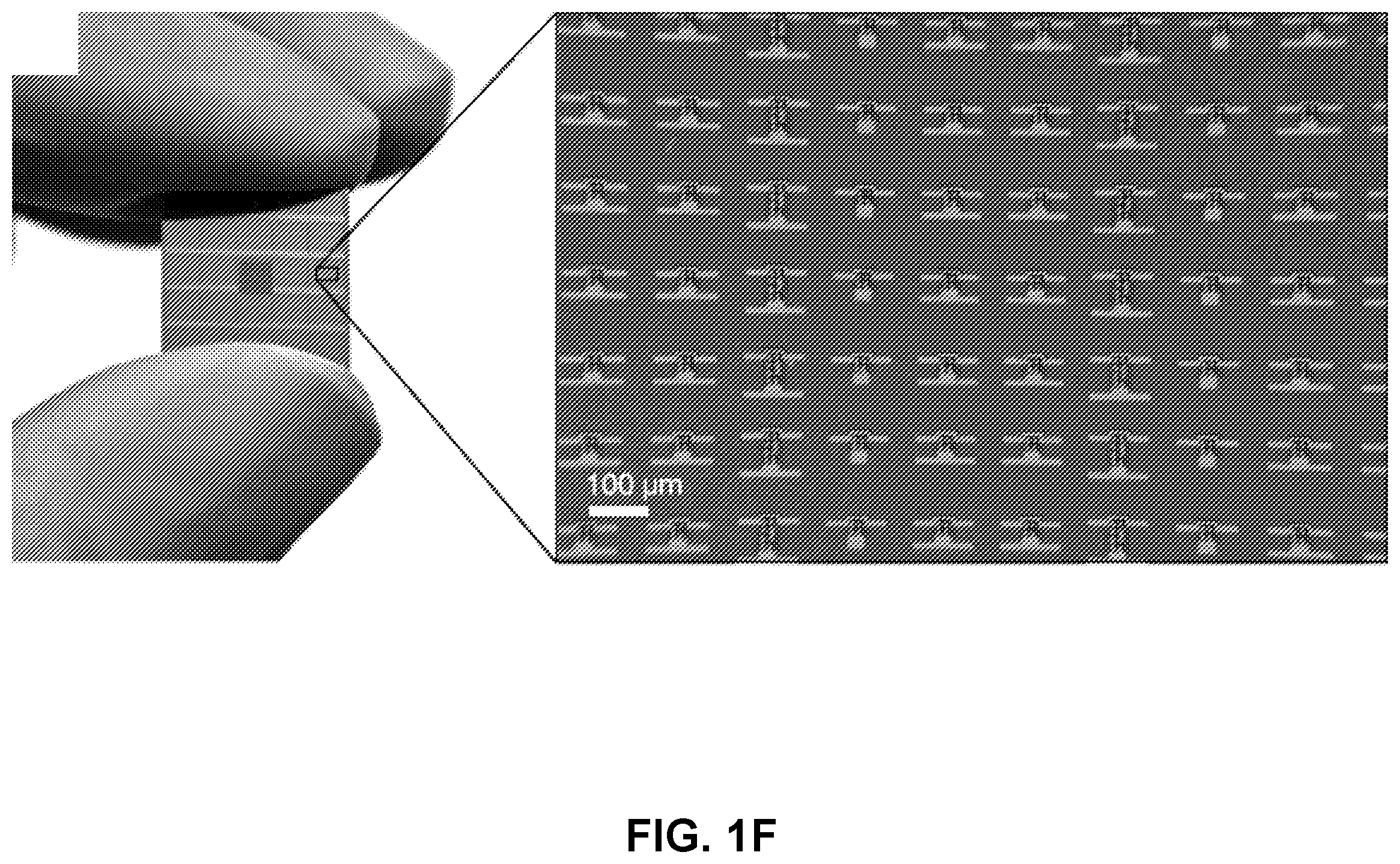 Patent US12508702 Figure 6 – Compact actuators, electrically programmable microscale surface oxide memory actuators and related robotic devices