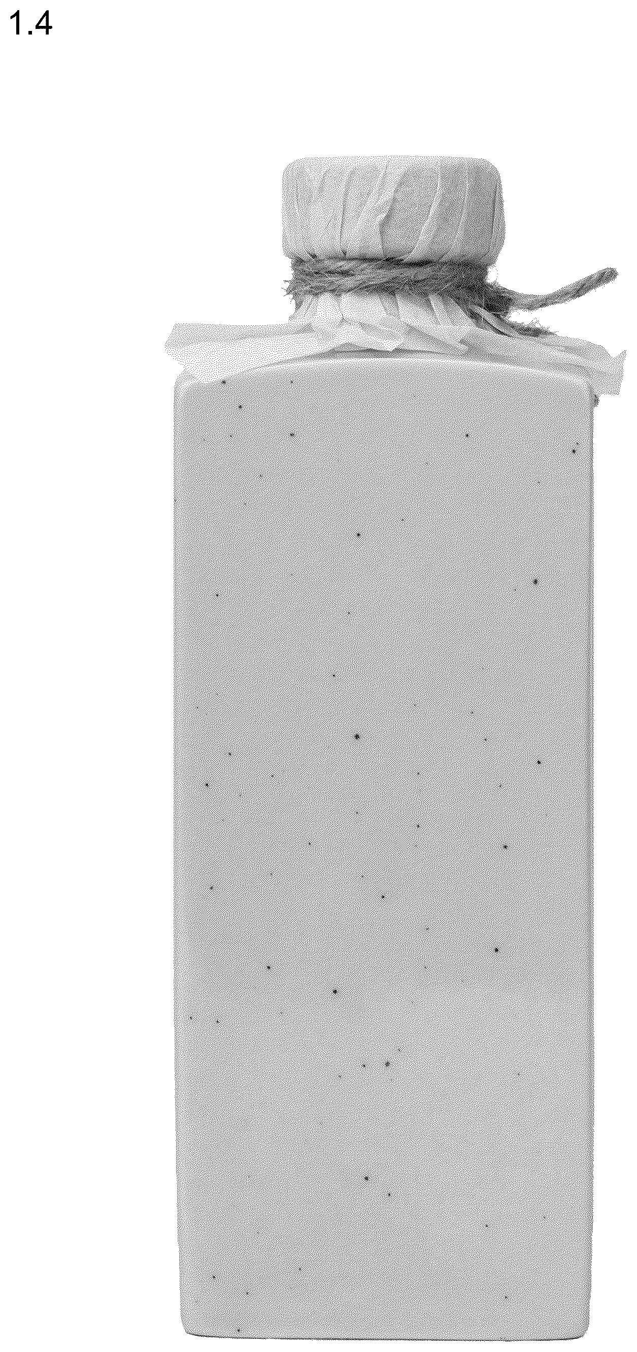 Patent USD1075505 Figure 4 – Combined packaging bottle with closure, labels and decorative accessories