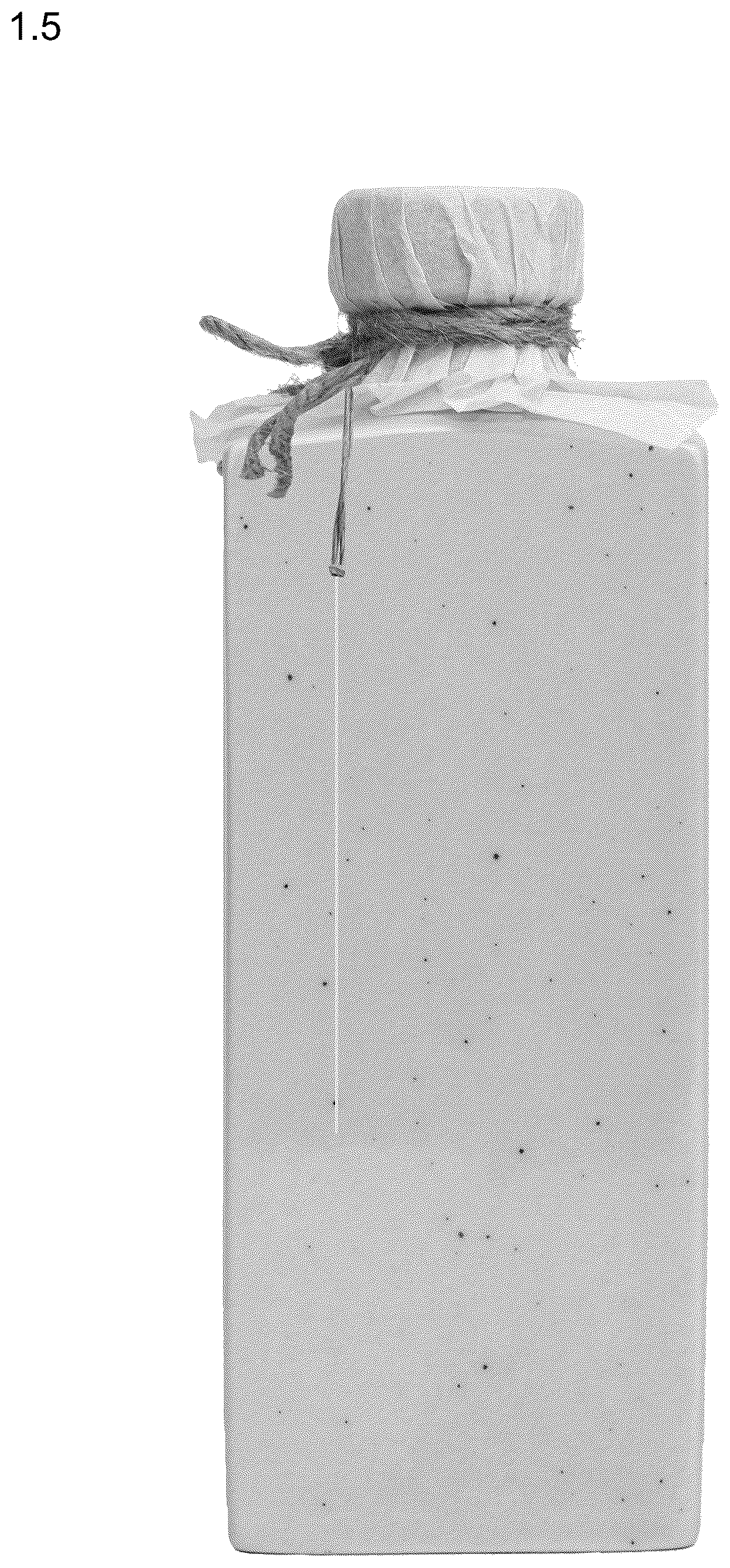Patent USD1075505 Figure 5 – Combined packaging bottle with closure, labels and decorative accessories