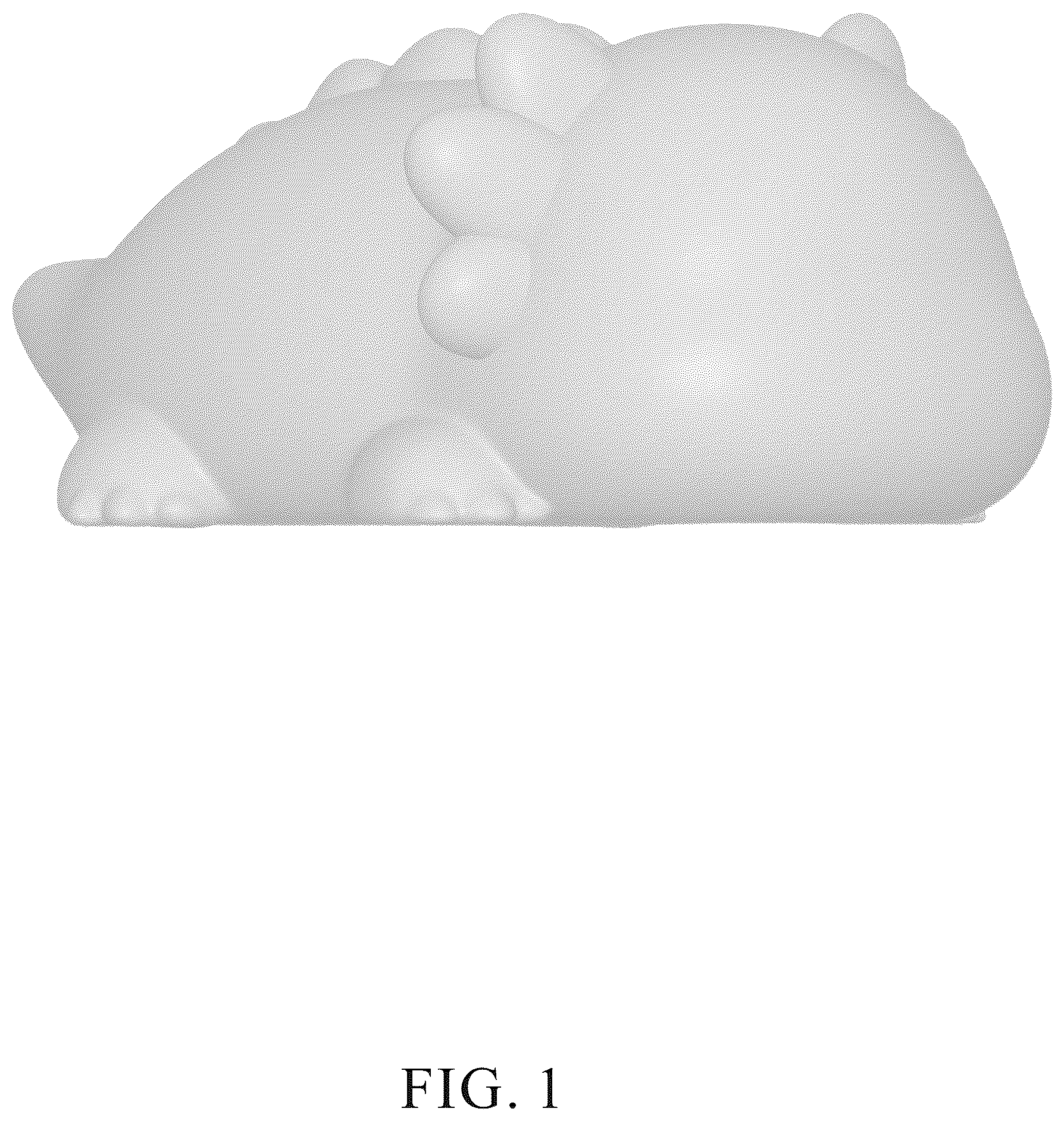 Patent USD1076197 Figure 1 – LED night light