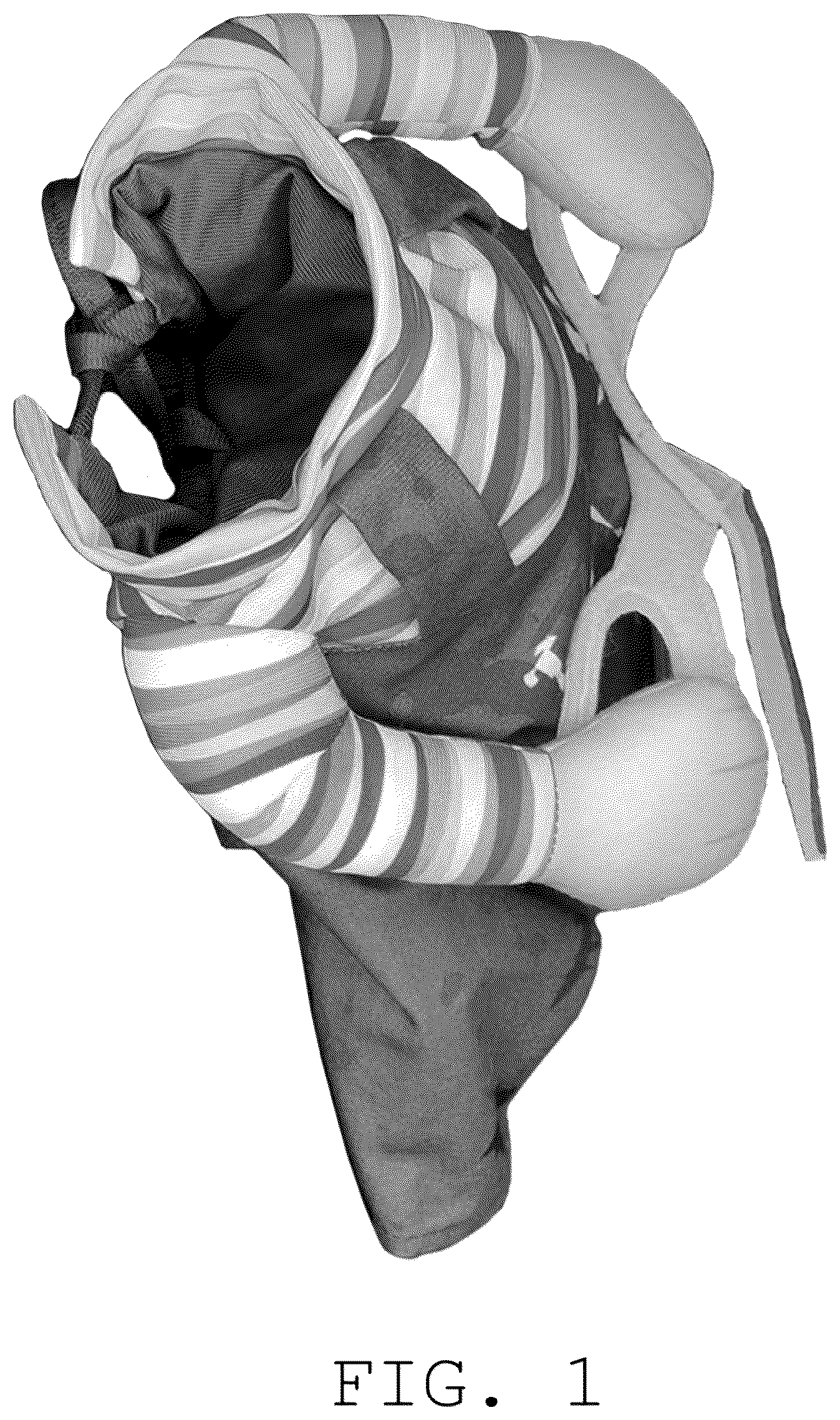 Patent USD1076269 Figure 1 – Pet costume