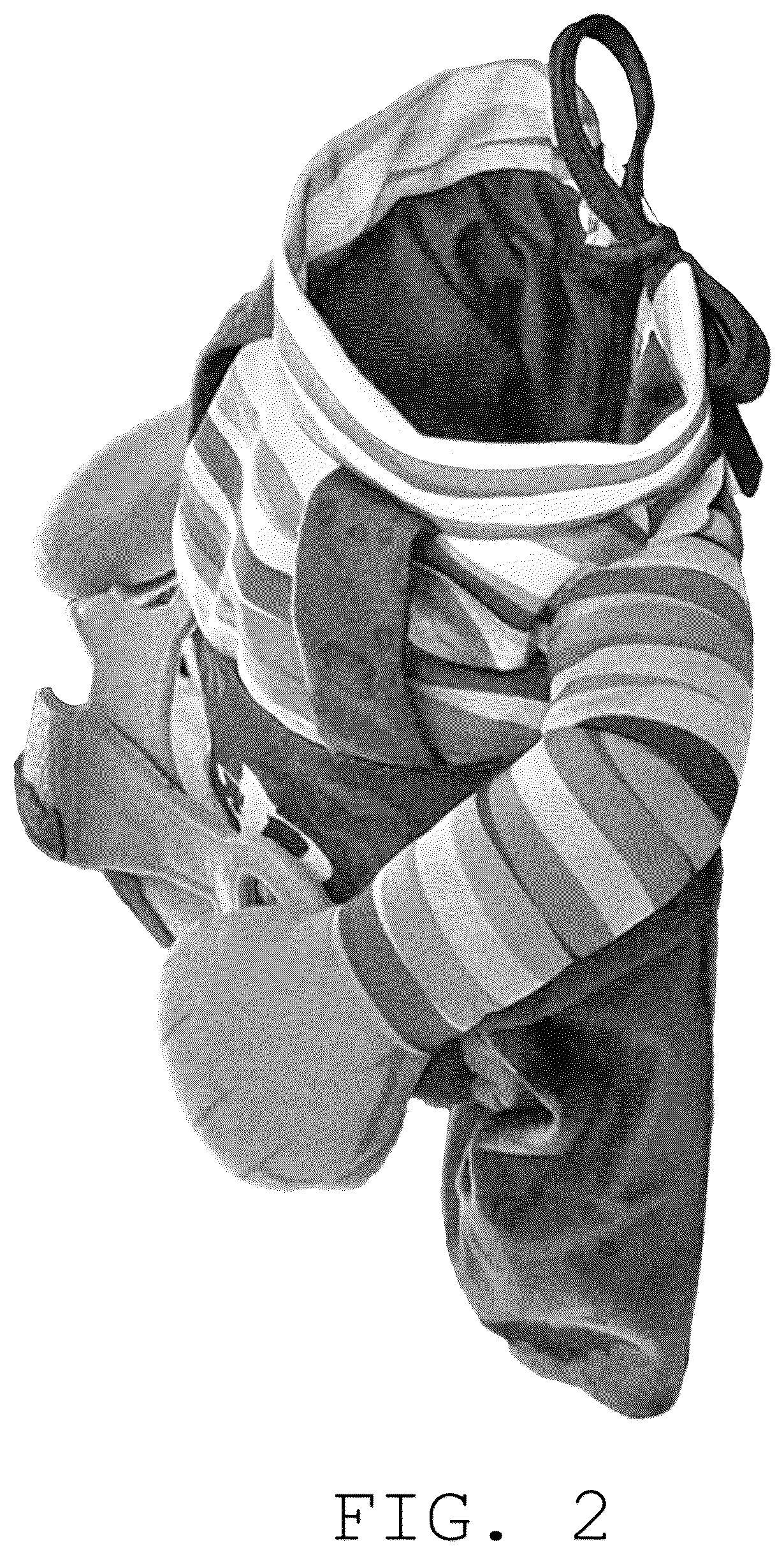 Patent USD1076269 Figure 2 – Pet costume