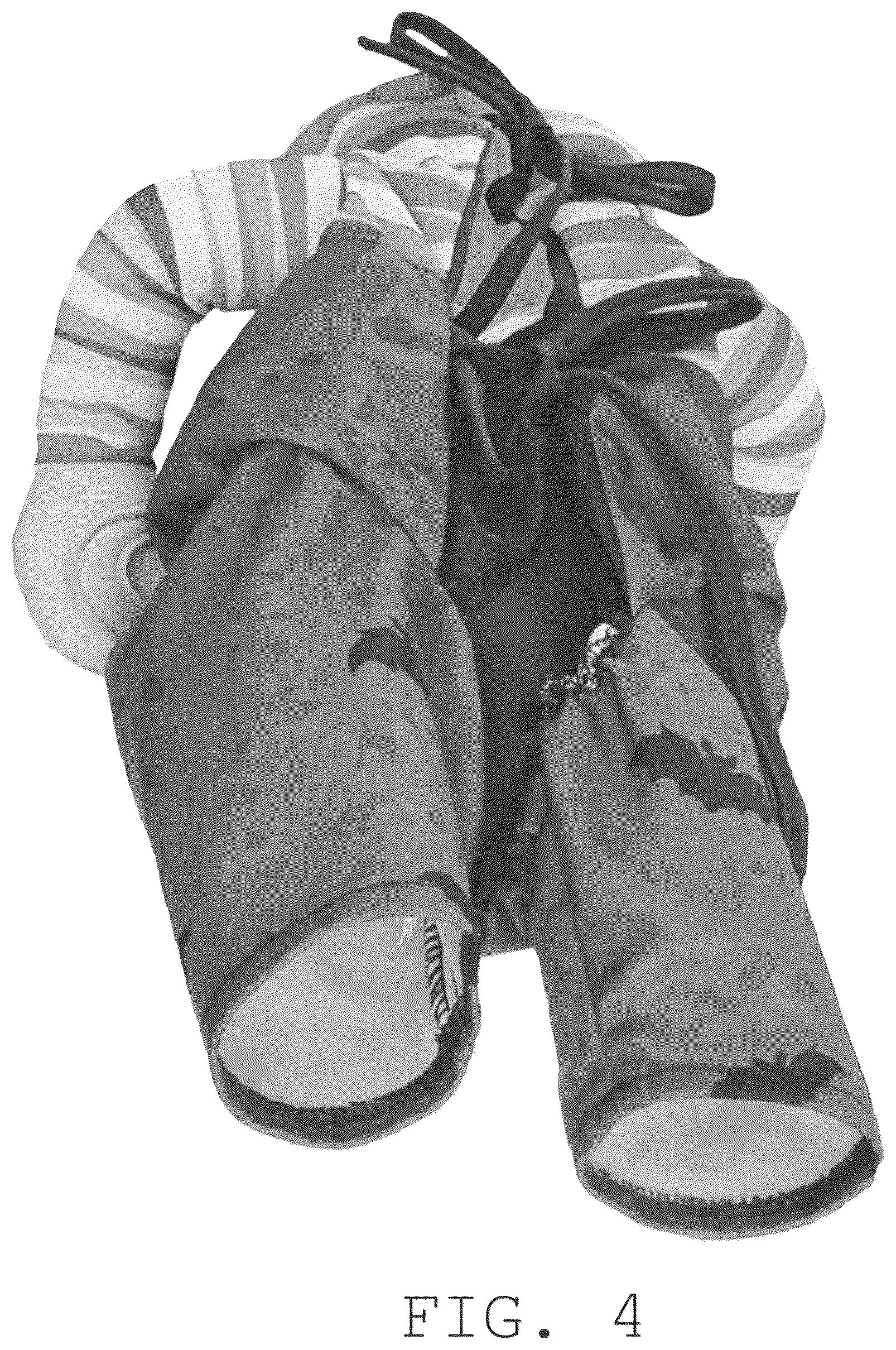 Patent USD1076269 Figure 4 – Pet costume