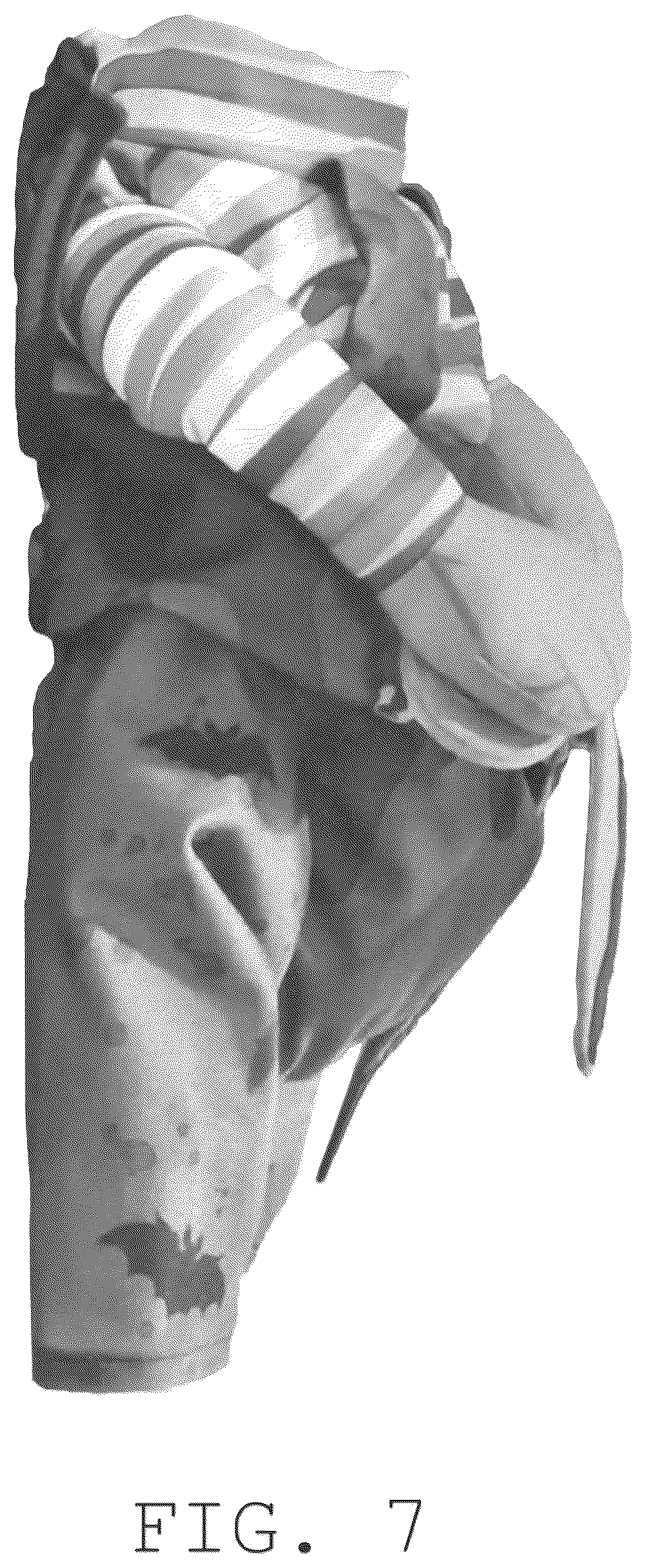 Patent USD1076269 Figure 7 – Pet costume
