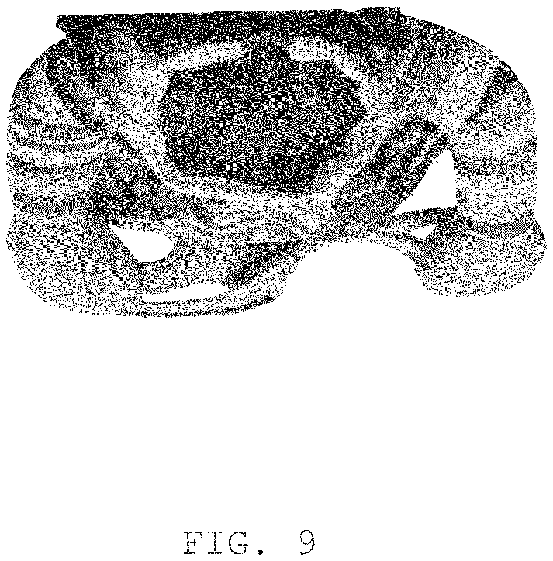Patent USD1076269 Figure 9 – Pet costume