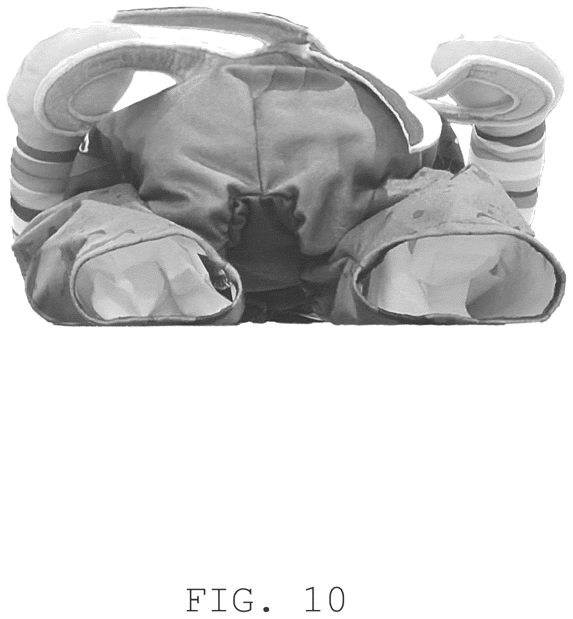 Patent USD1076269 Figure 10 – Pet costume