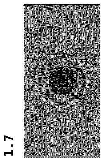 Patent USD1076299 Figure 7 – Flat mop with cloth