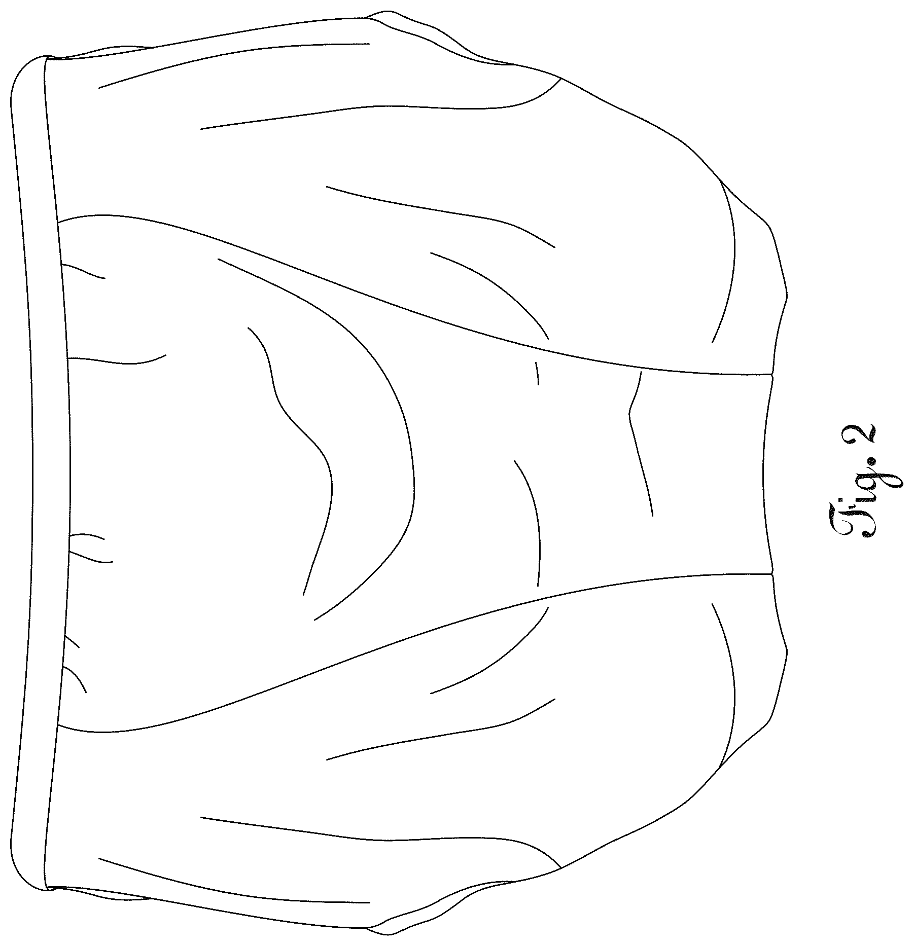 Patent USD1076330 Figure 2 – Pelvic floor support garment