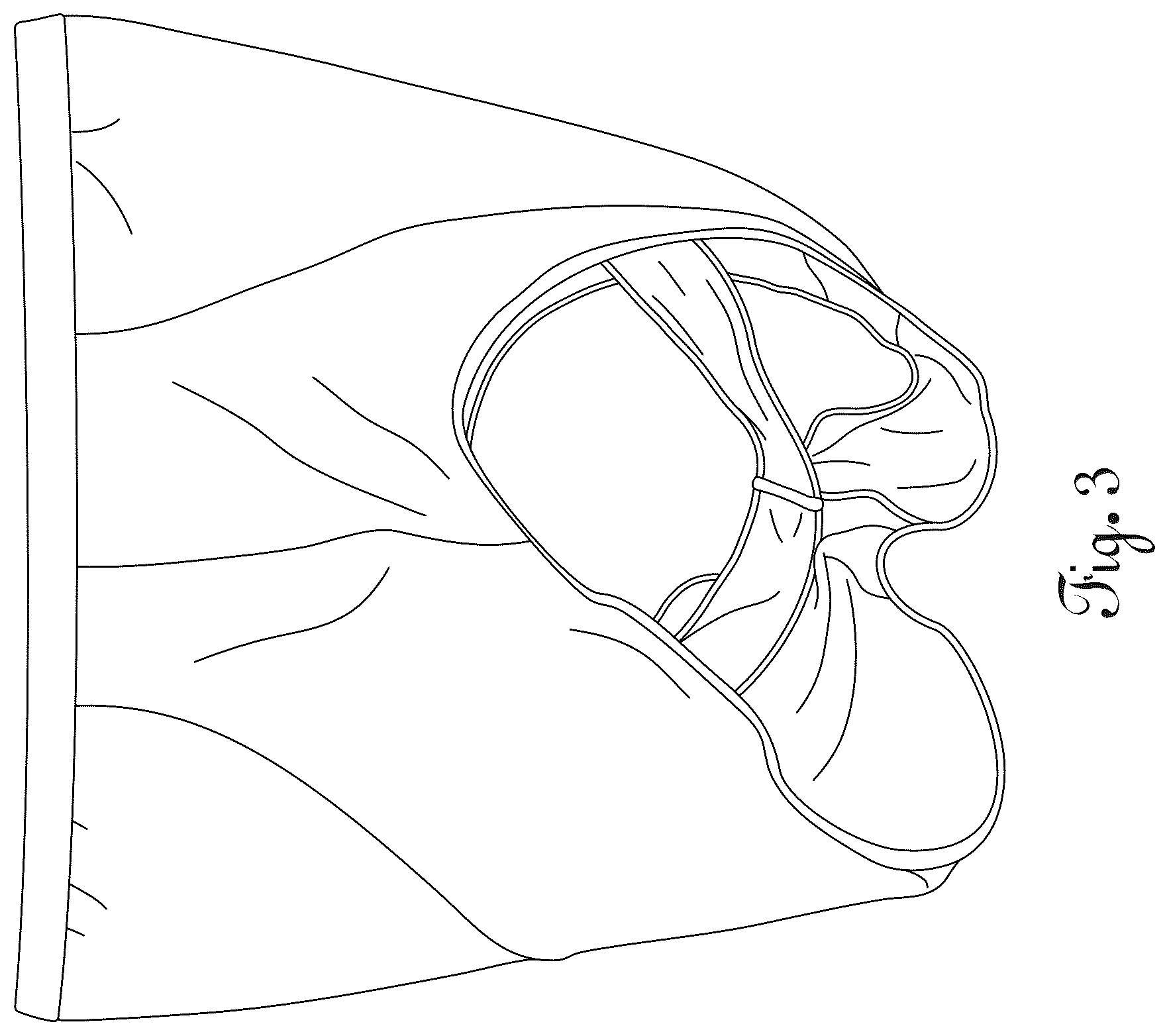 Patent USD1076330 Figure 3 – Pelvic floor support garment