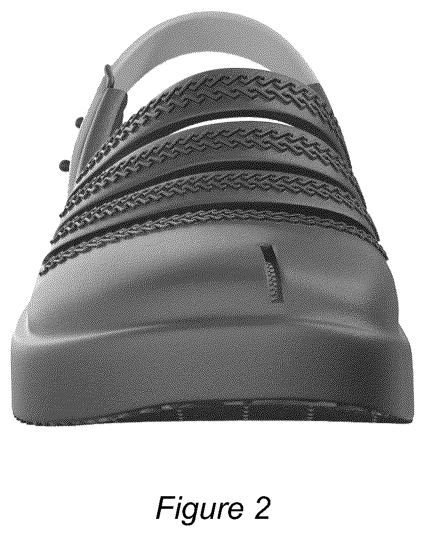 Patent USD1076359 Figure 2 – Footwear