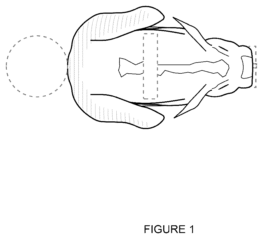 Patent USD1076540 Figure 1 – Coffee machine