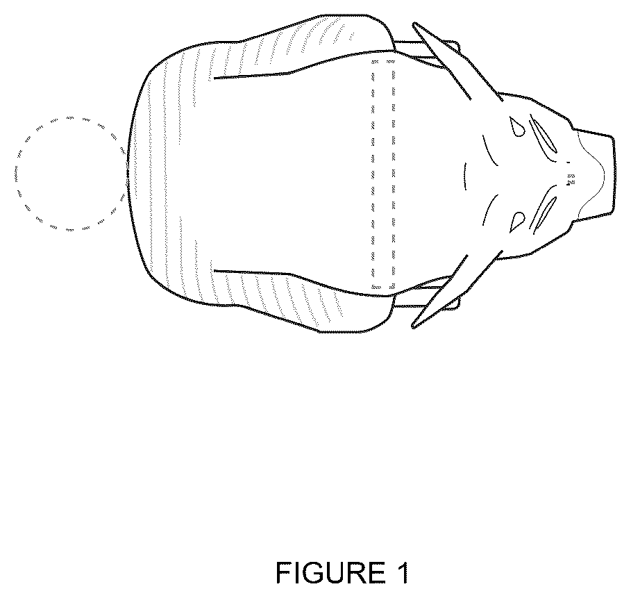 Patent USD1076542 Figure 1 – Coffee machine
