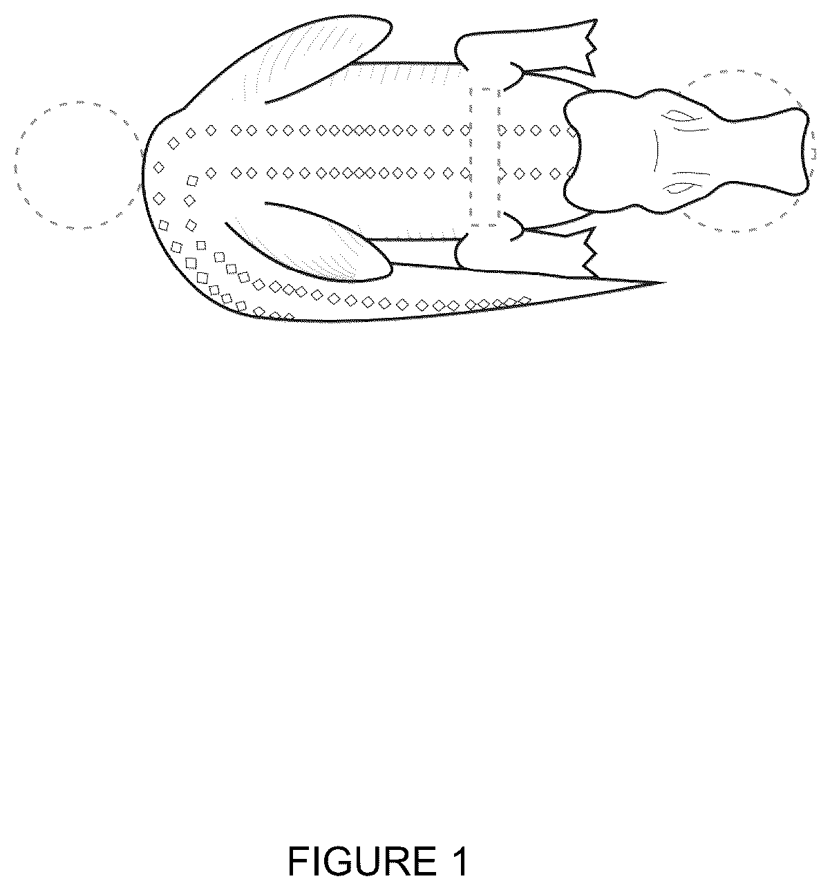 Patent USD1076543 Figure 1 – Coffee machine