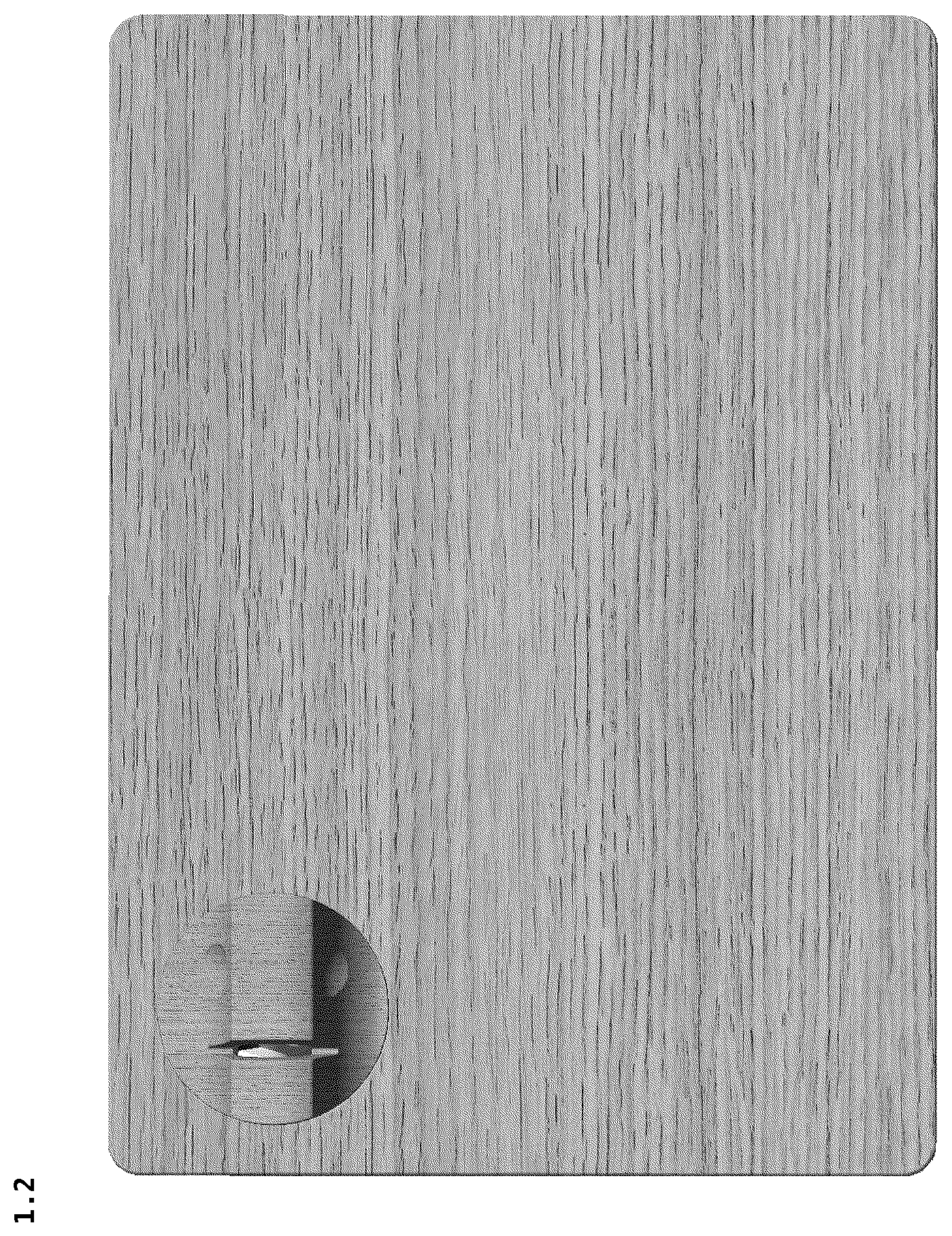 Patent USD1076616 Figure 2 – Combined cutting board and sharpener