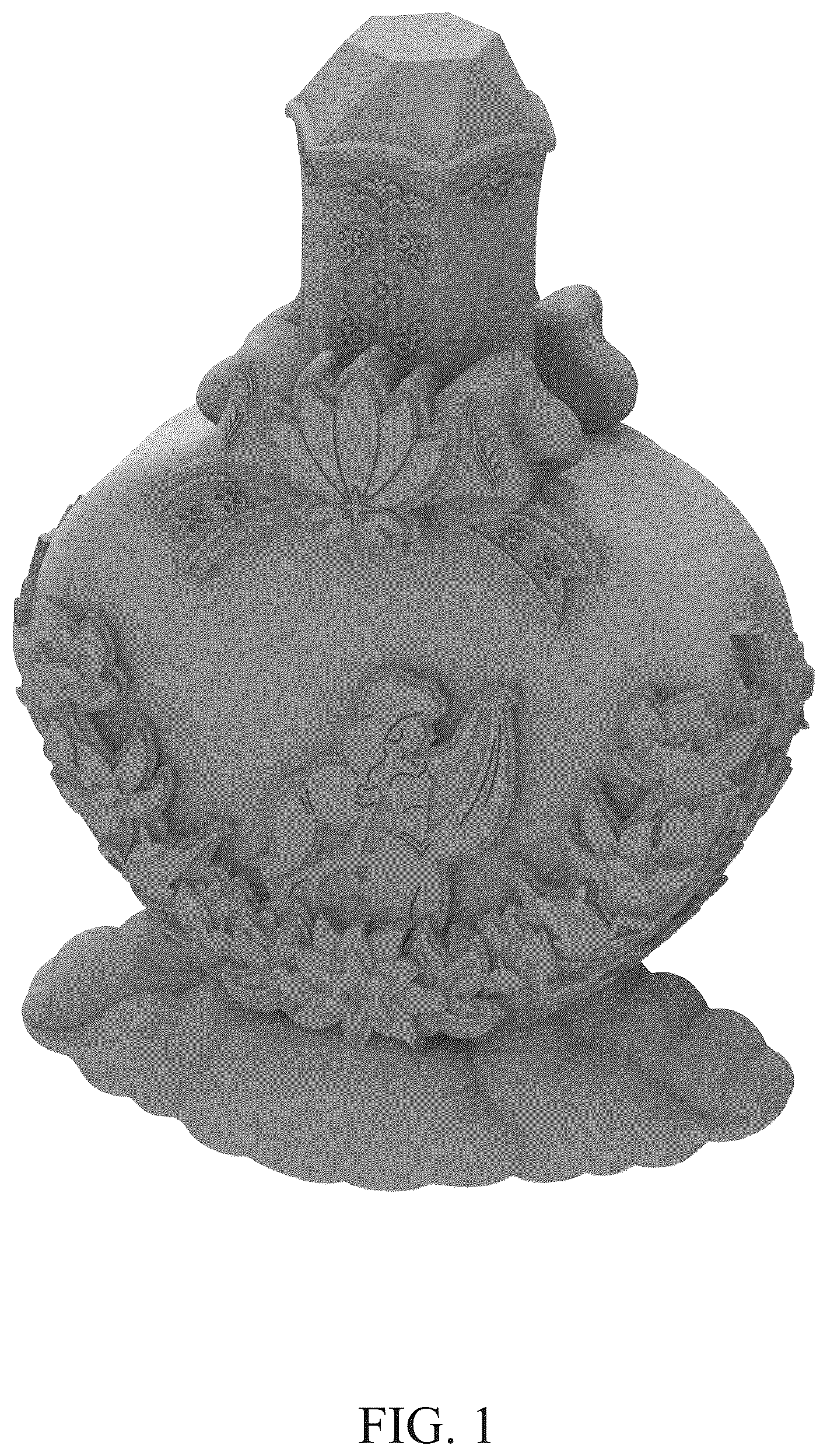 Patent USD1077059 Figure 1 – Toy perfume bottle