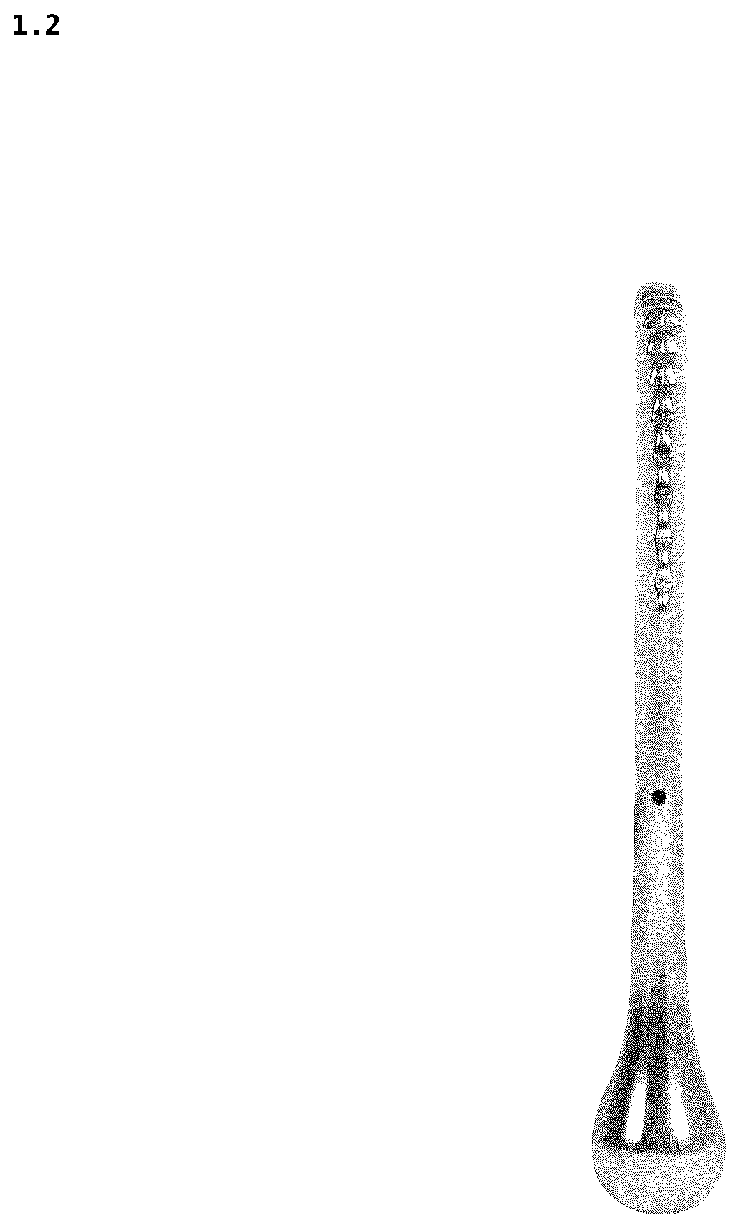 Patent USD1077266 Figure 2 – Massage appliance for the face