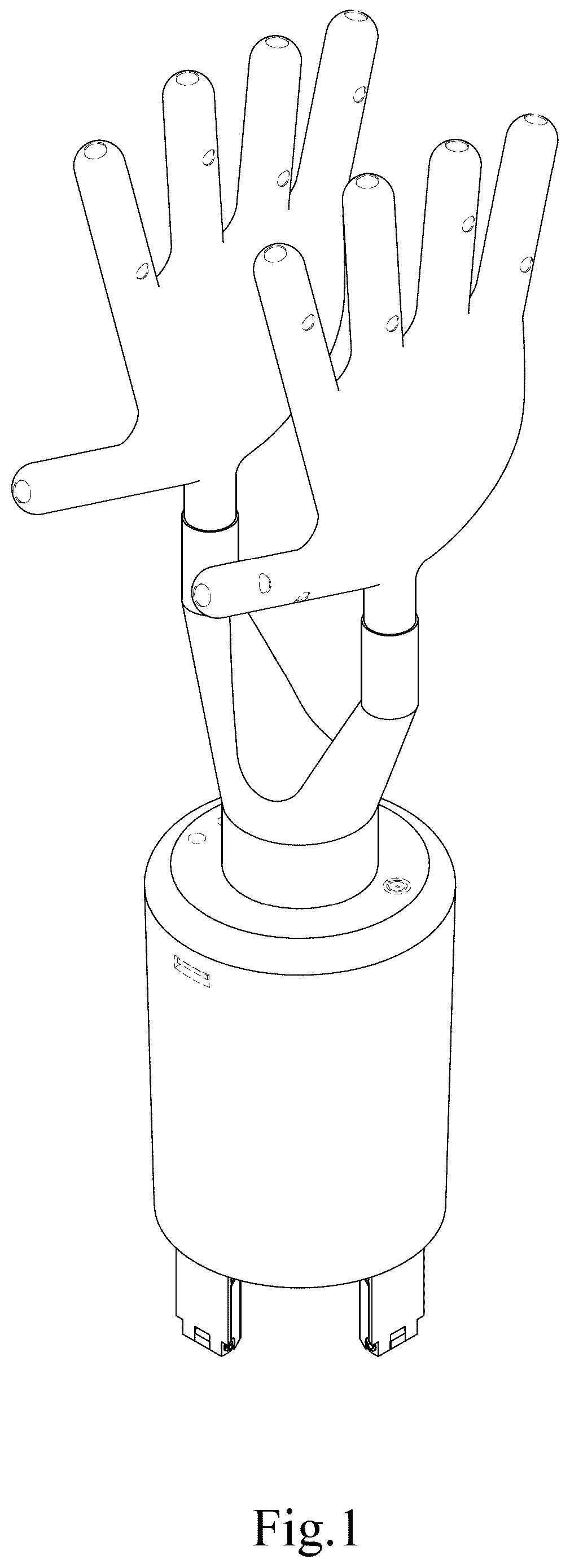 Patent USD1077402 Figure 1 – Glove drying apparatus